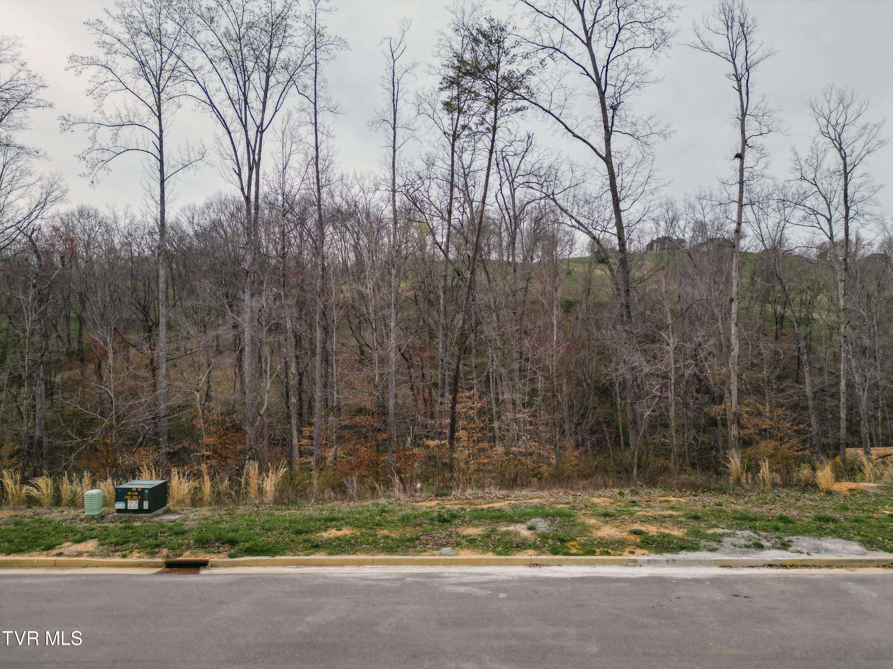 Morristown, TN 37814,Lot 30 Bridgewater BLVD