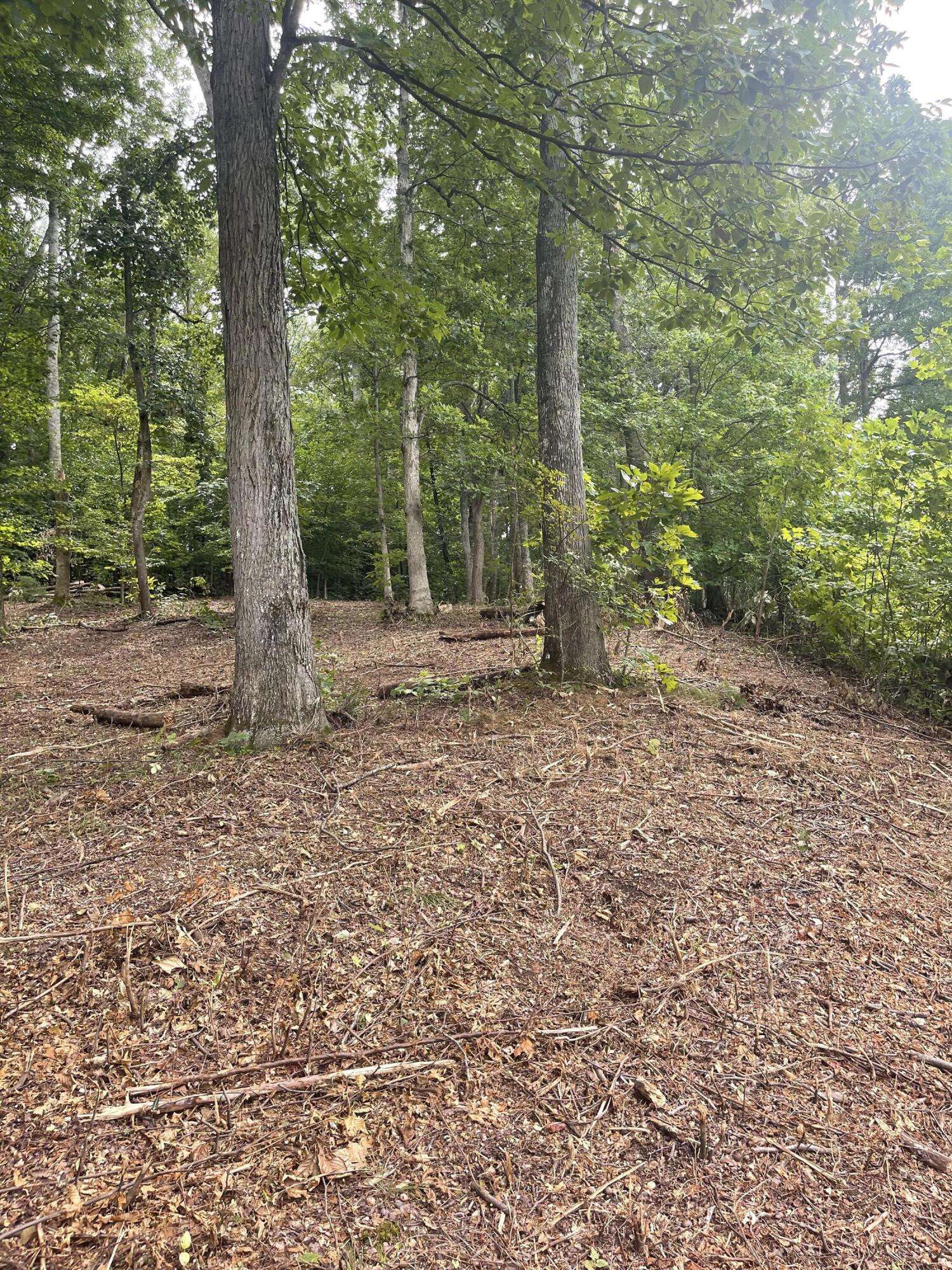 Chuckey, TN 37641,Lot 35 Chimney Top LN