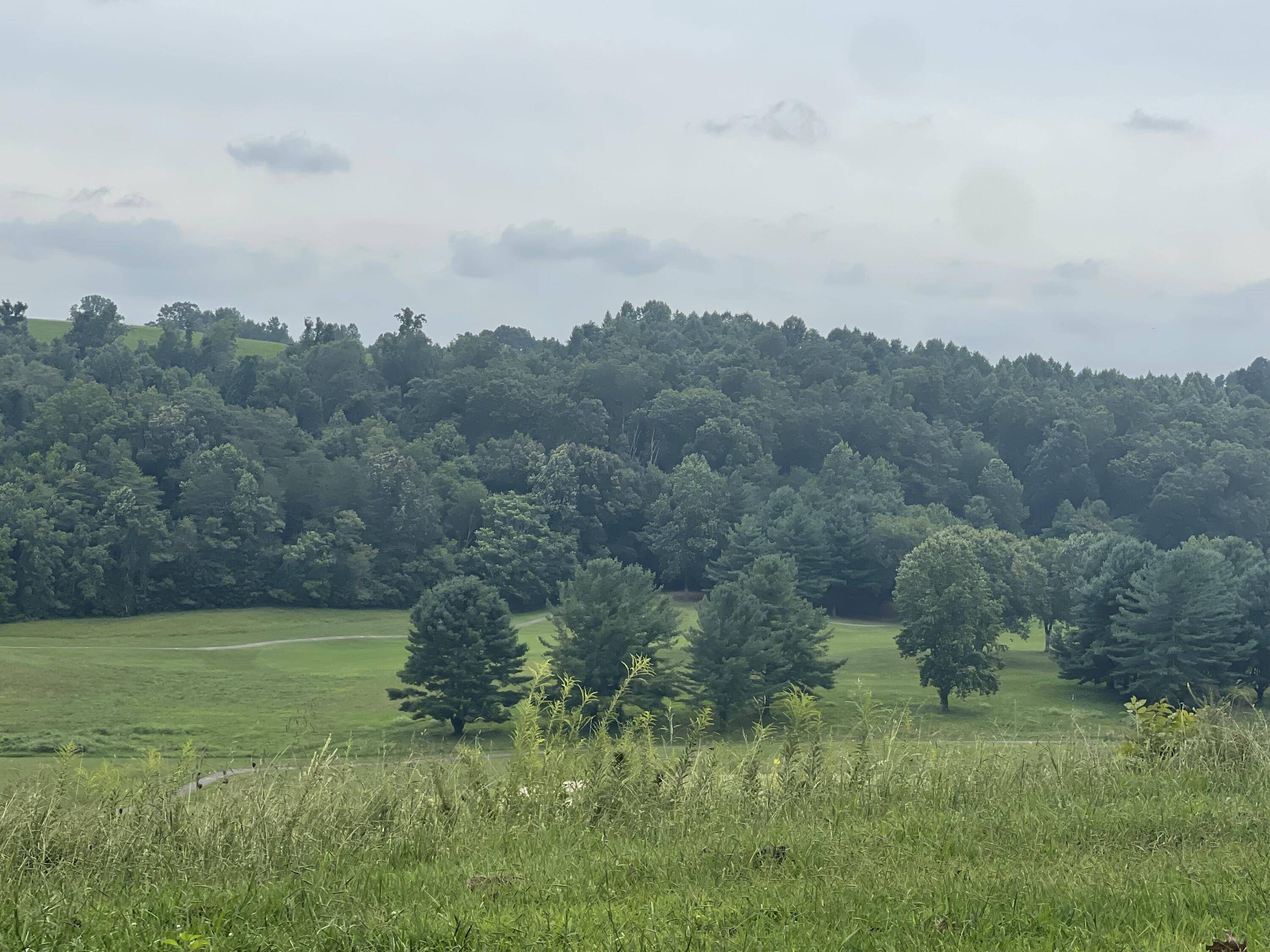 Chuckey, TN 37641,Lot 43 Chimney Top LN