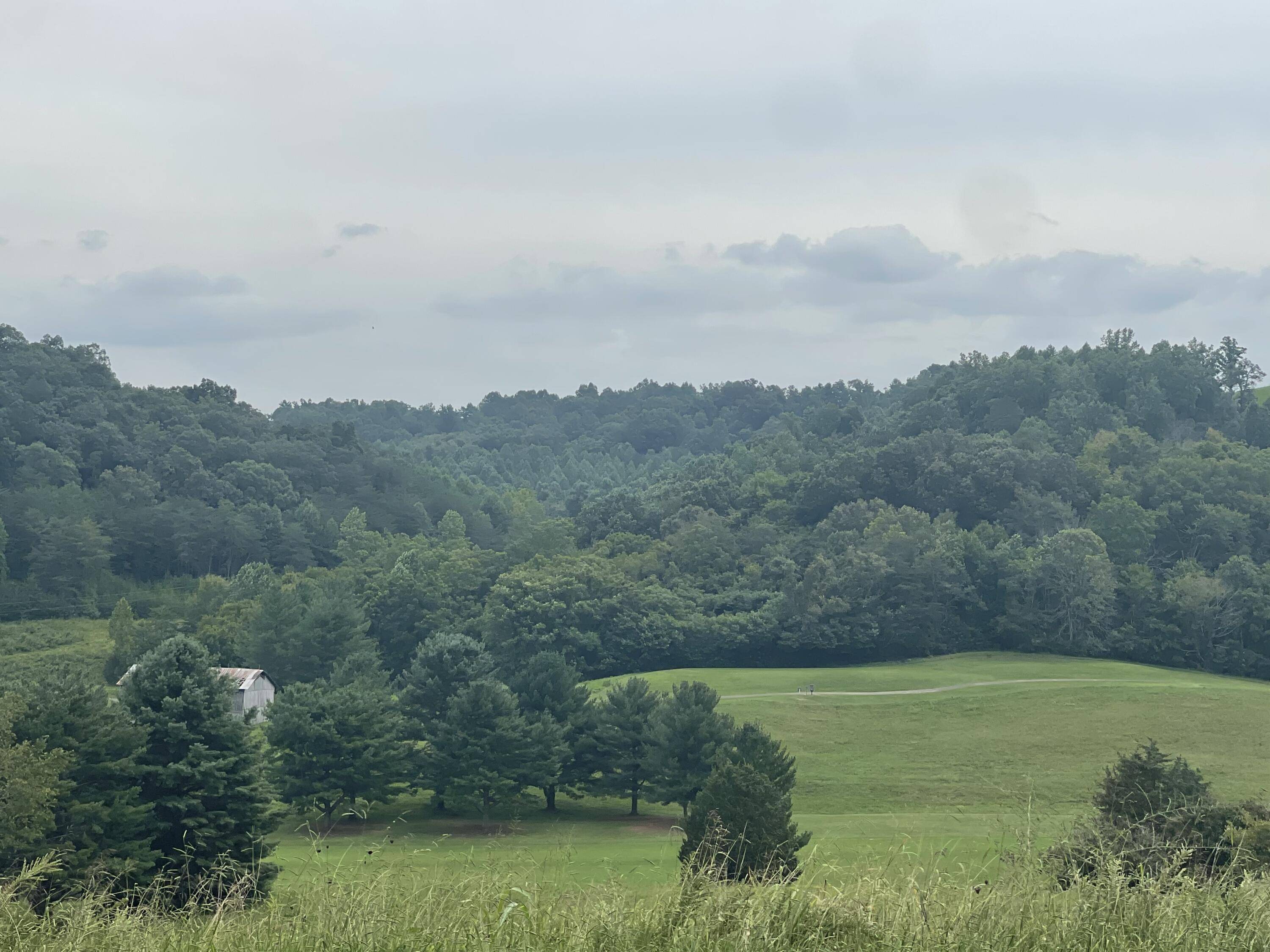 Chuckey, TN 37641,Lot 43 Chimney Top LN