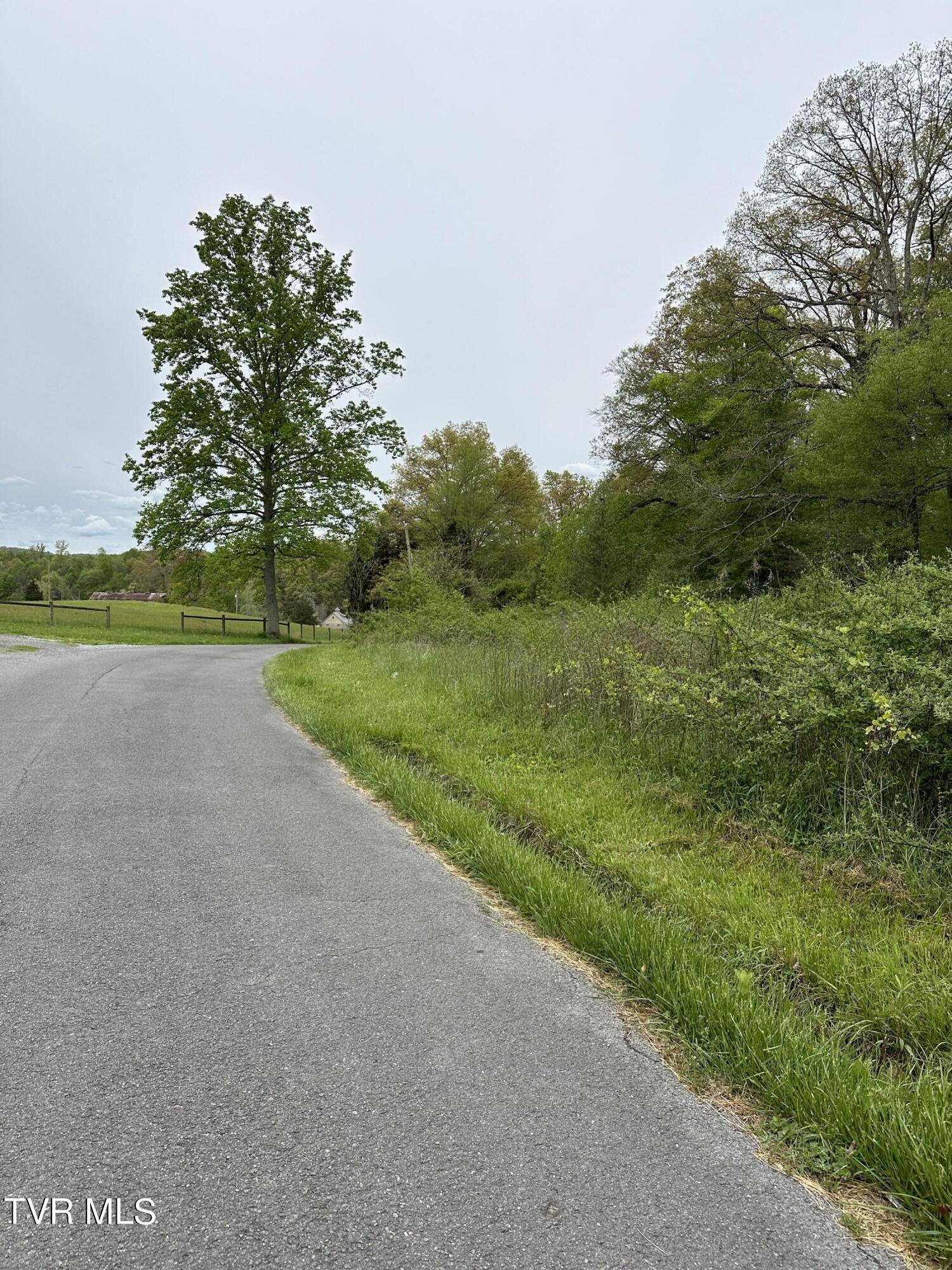 Surgoinsville, TN 37873,00 Williams  (42 Acres)