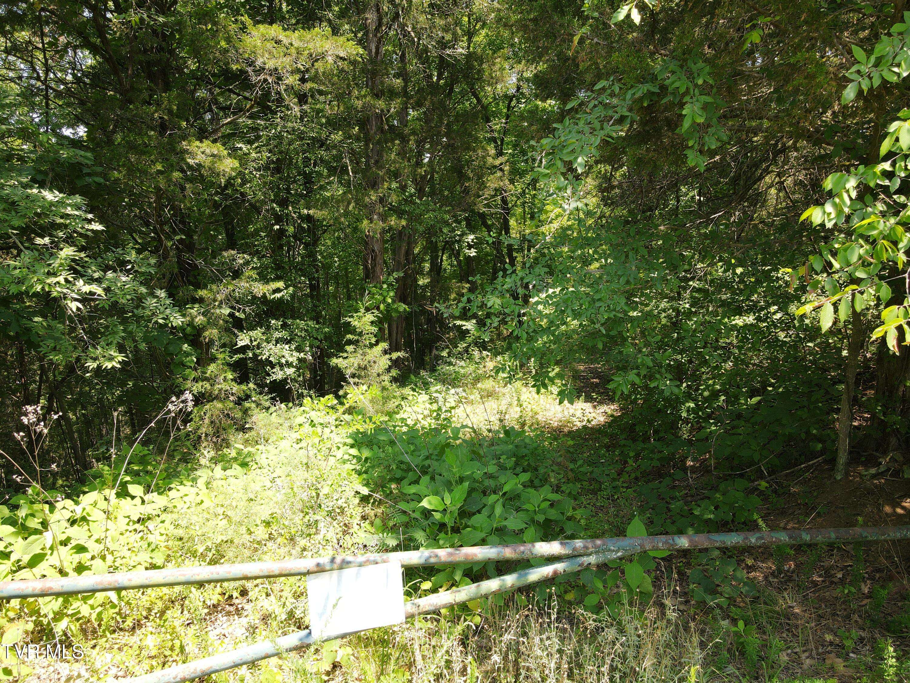 Sevierville, TN 37876,Tbd Needles WAY
