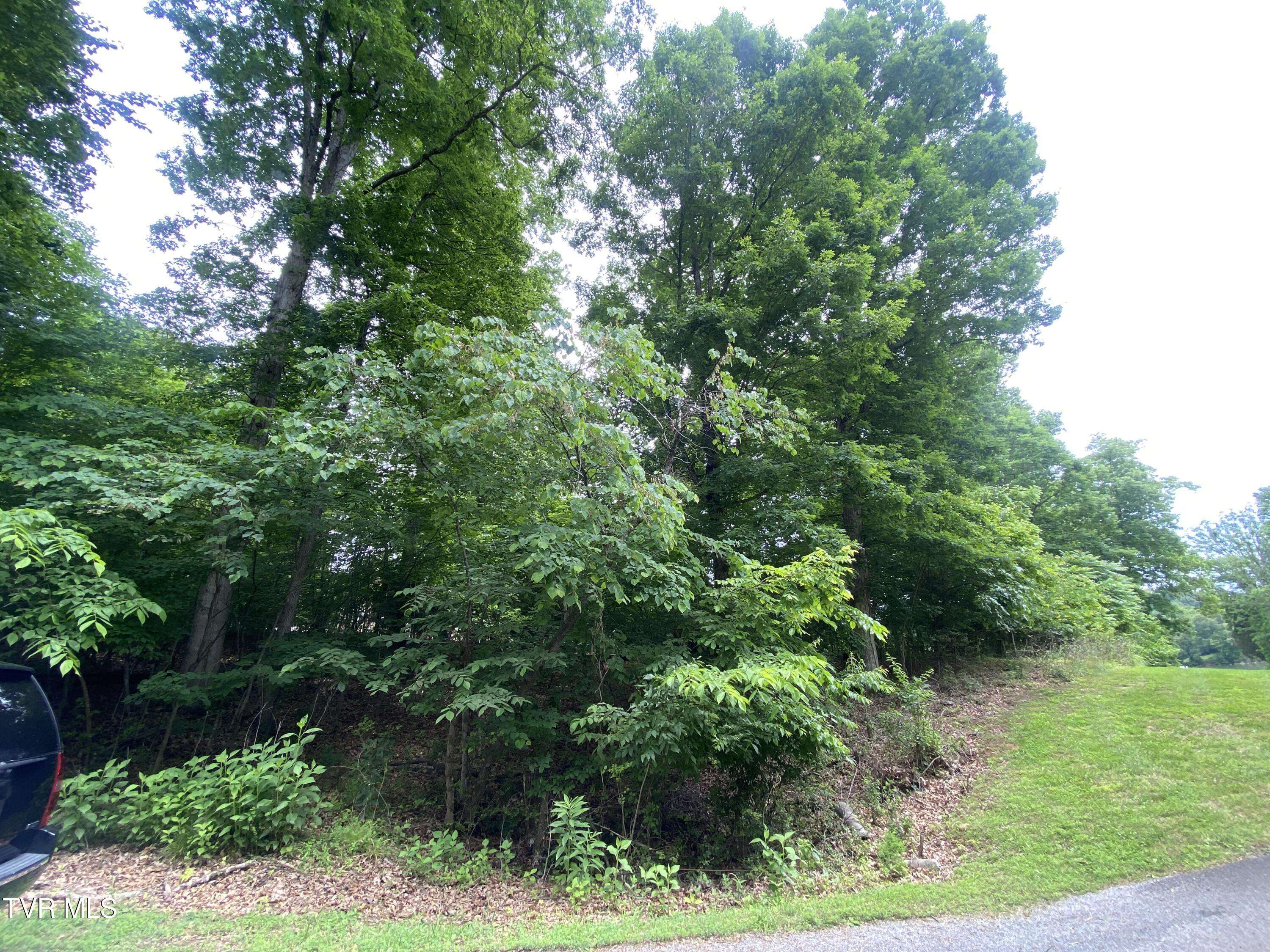 Blountville, TN 37617,278 Candy Creek Pvt DR