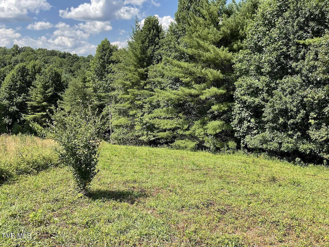 Mountain City, TN 37683,Lot # 55 Laurel WAY