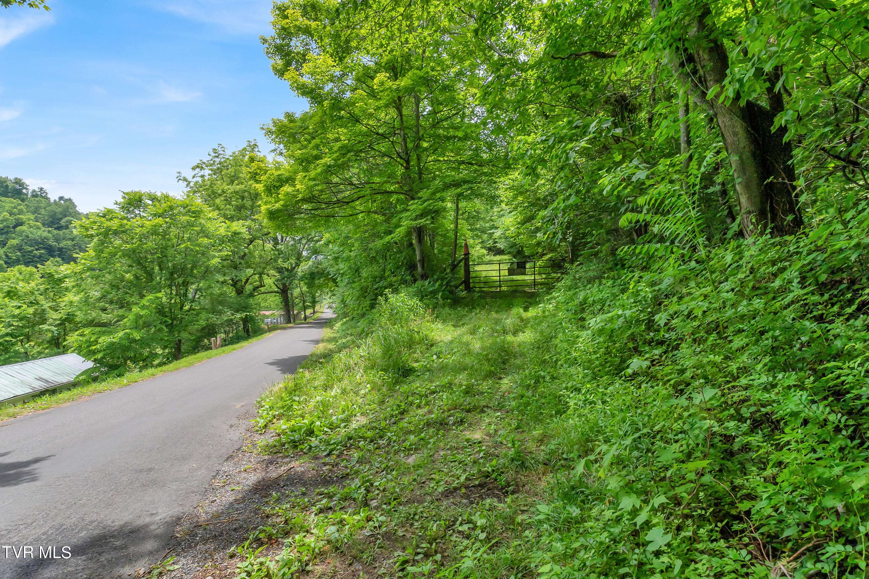 Castlewood, VA 24224,Tbd Buffalo Hollow Road