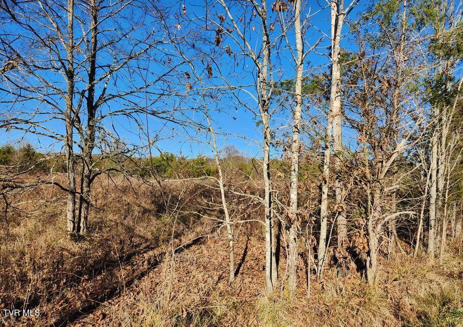 Bulls Gap, TN 37711,5.14 Ac Wells Hill LN