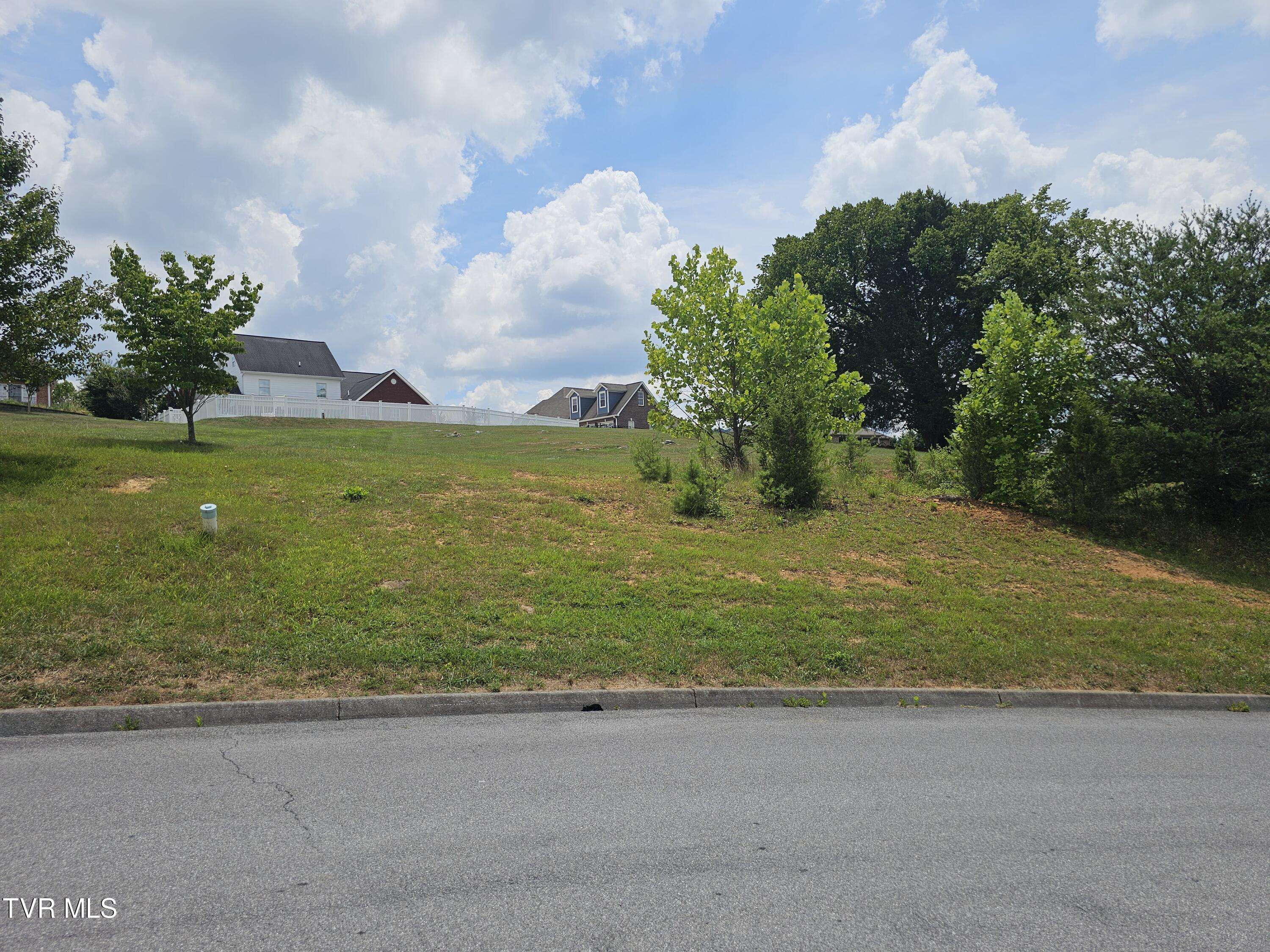 Kingsport, TN 37664,Lot 8 Warrior Falls DR