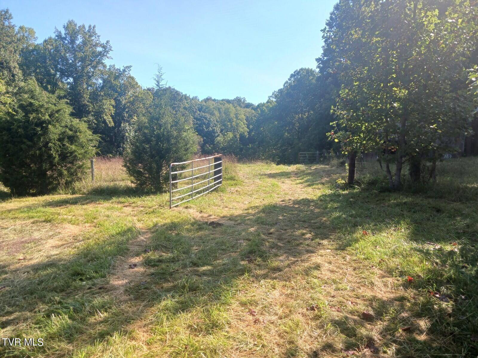 Blountville, TN 37617,259 Ward LN