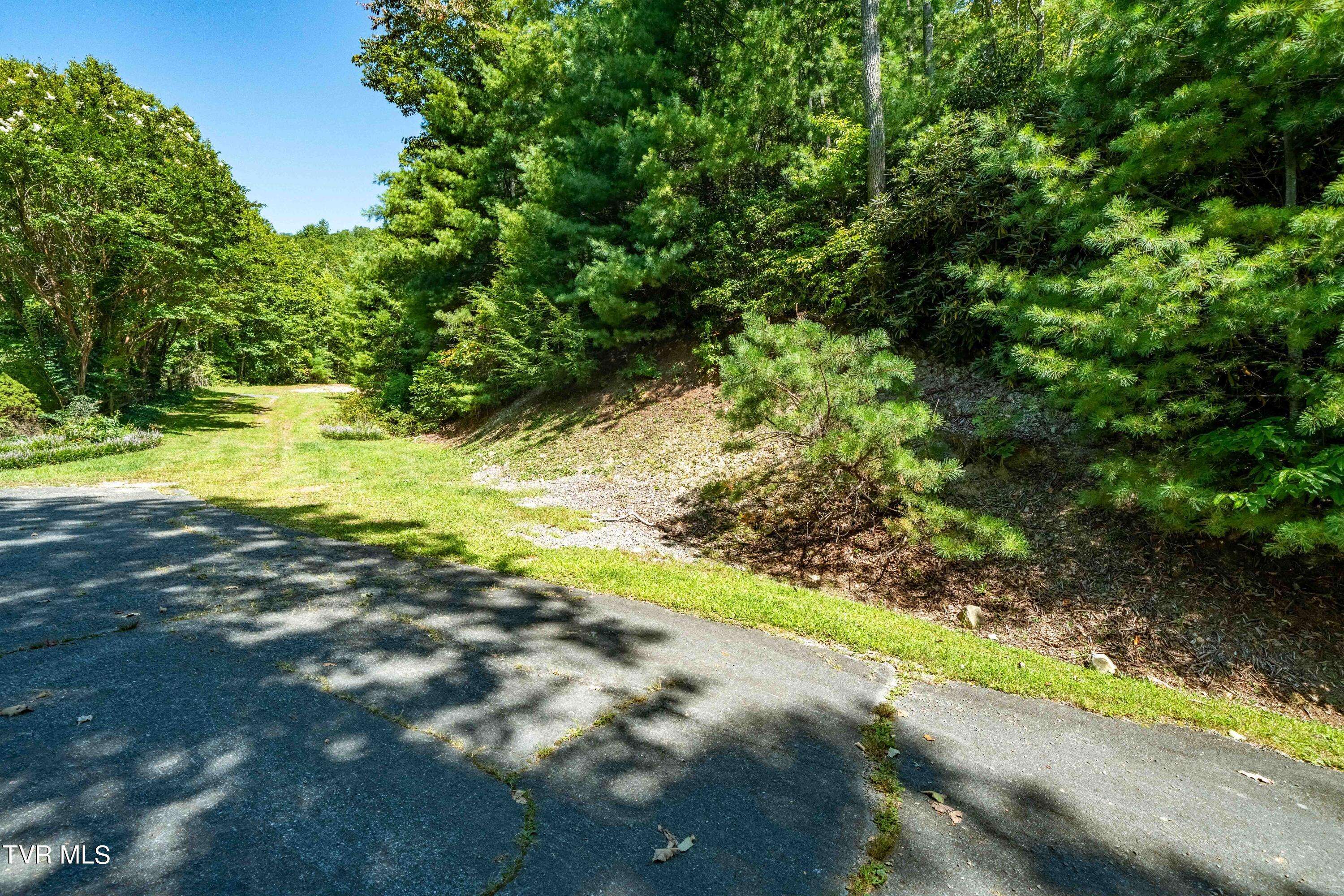 Mountain City, TN 37683,000 Ivywood LN