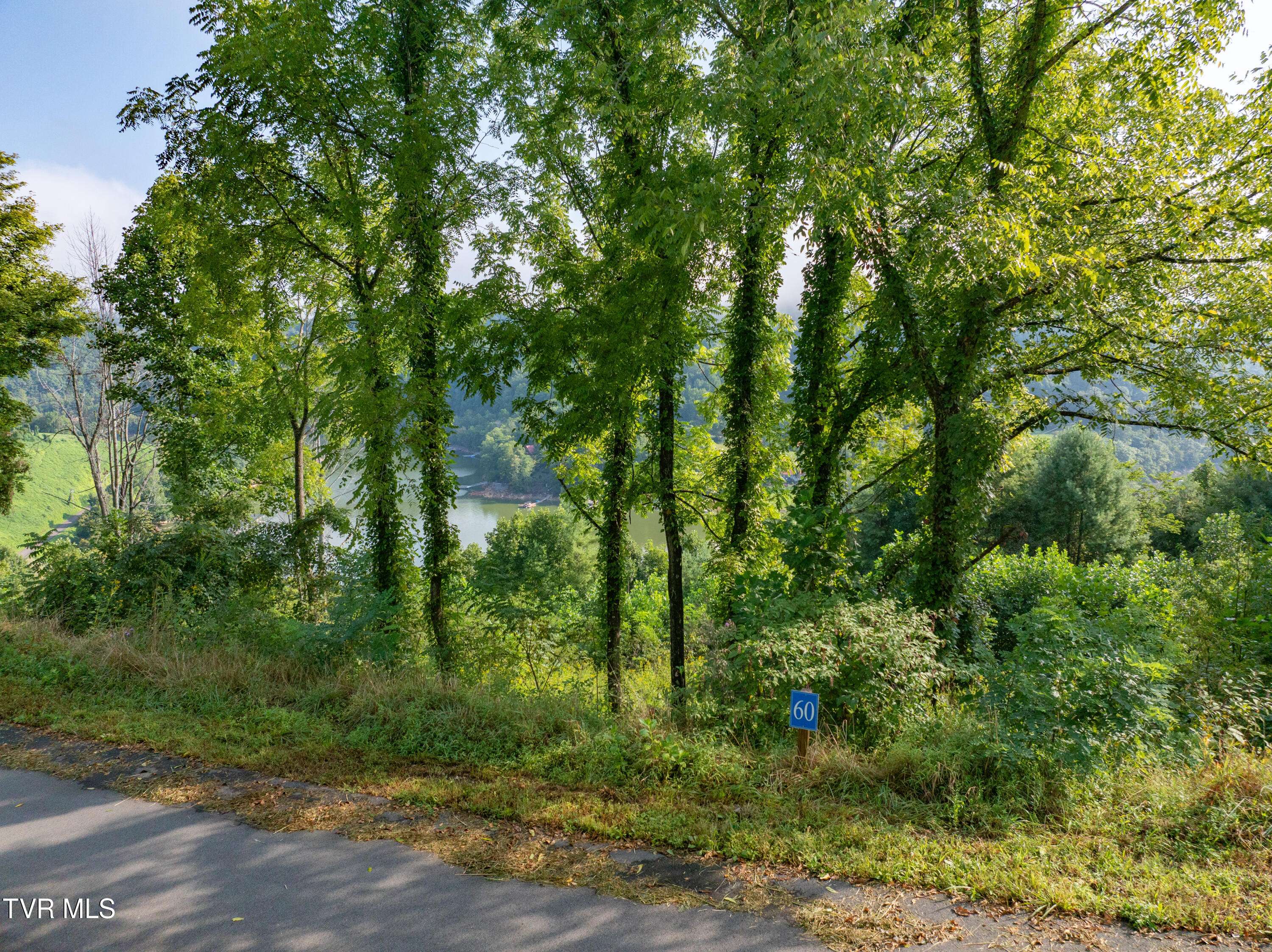 Butler, TN 37640,Eb60 Cowan Town RD