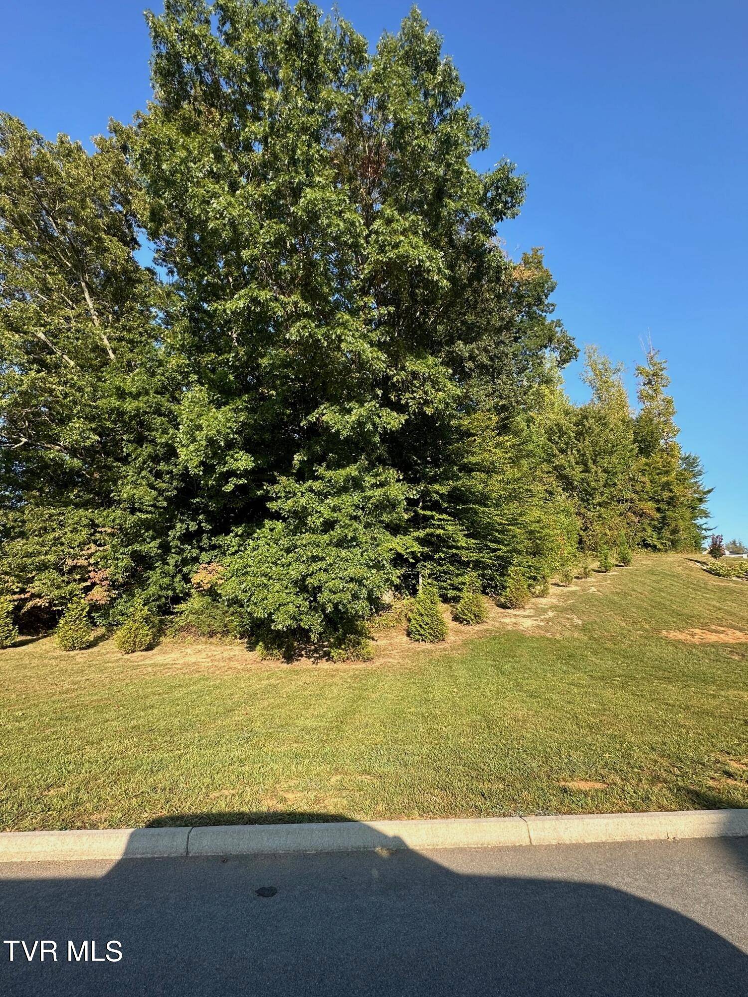 Jonesborough, TN 37659,Lot 3 Sylvias Meadow