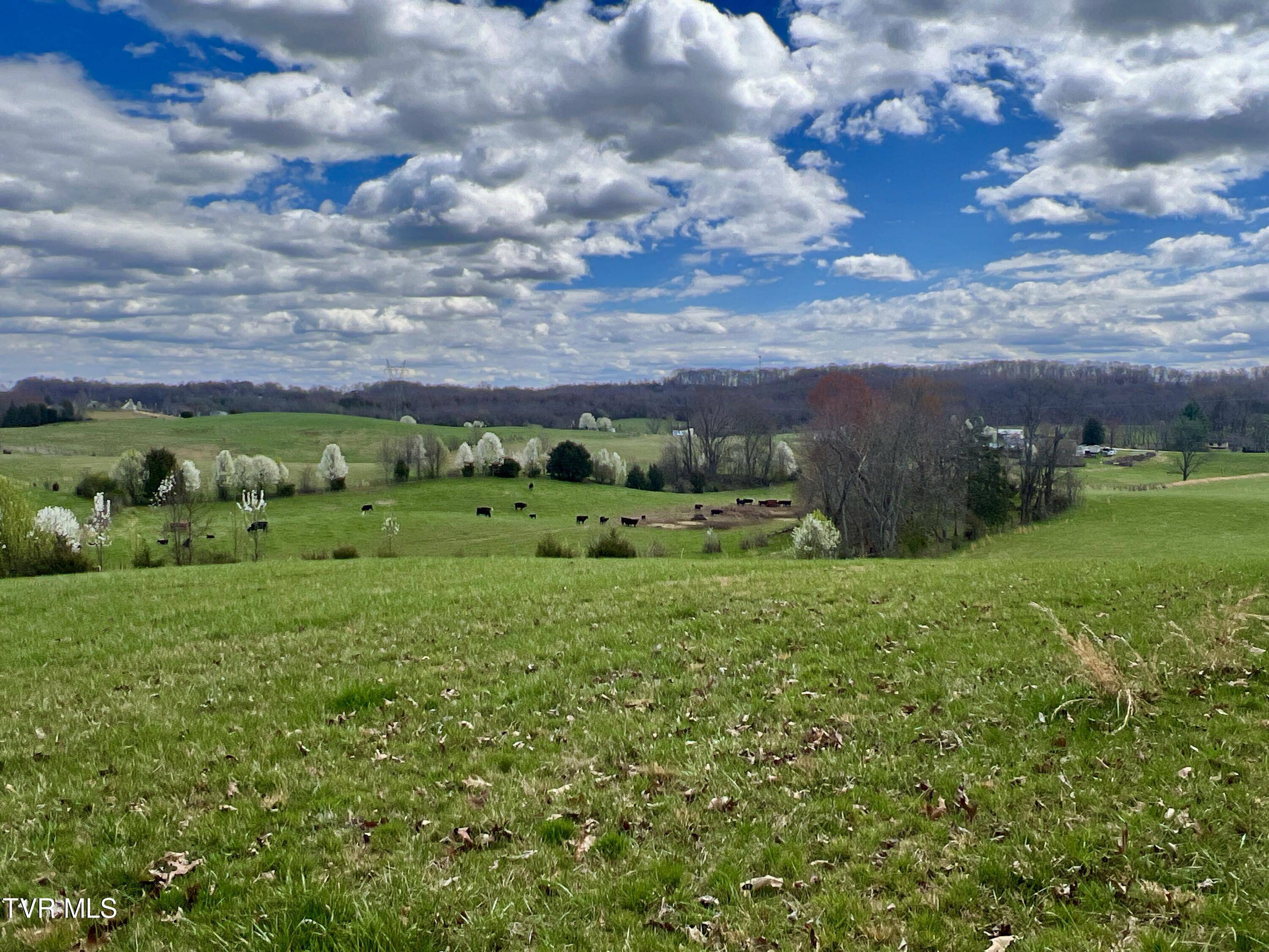 Fall Branch, TN 37656,88/Ac Tbd Hwy 93