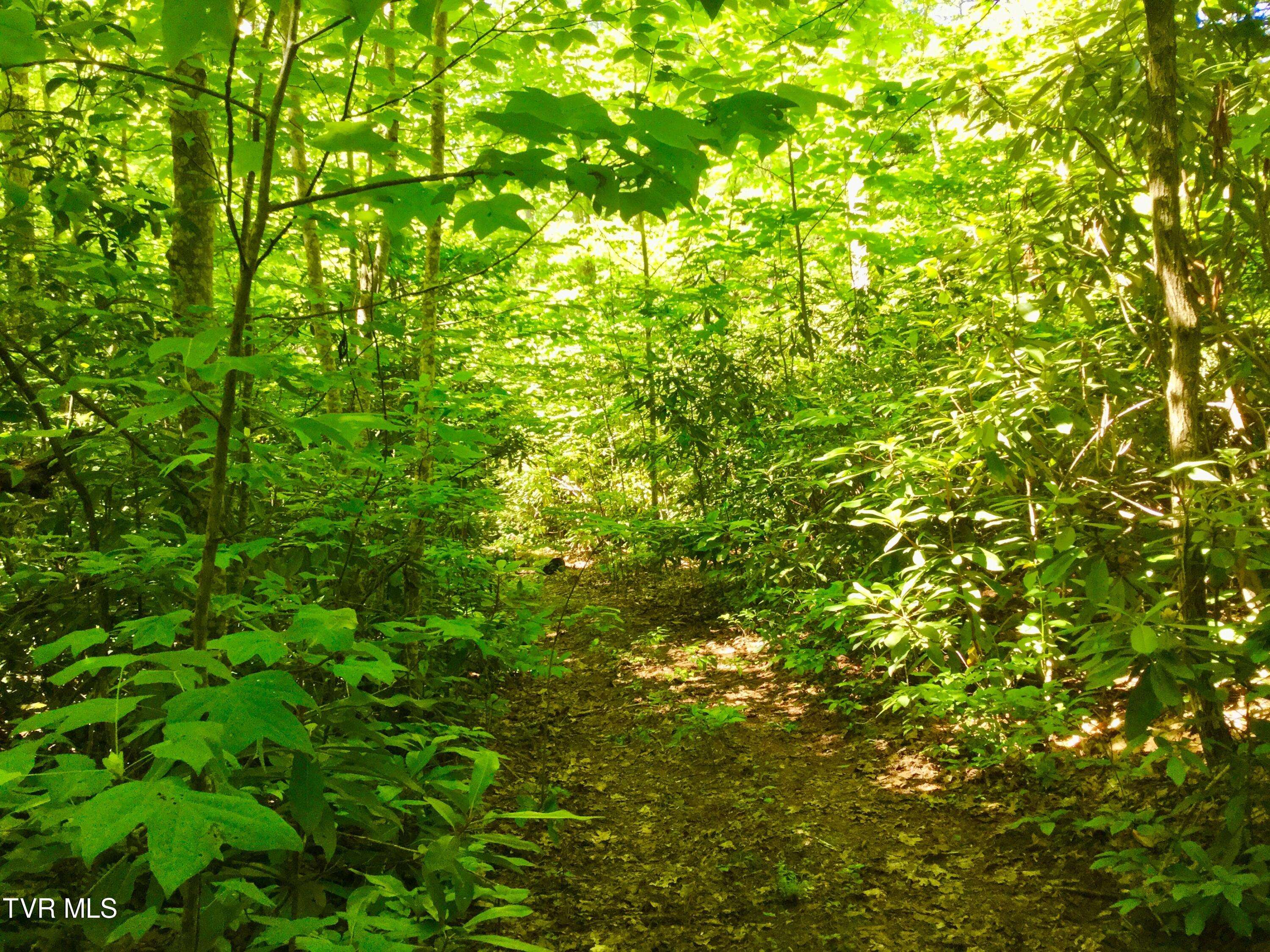 Elizabethton, TN 37643,22.83/Ac Tbd Sciota RD