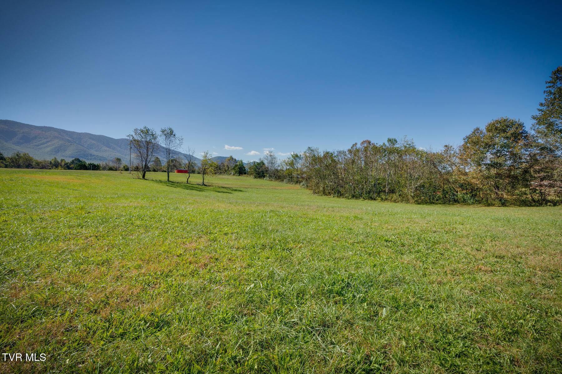 Greeneville, TN 37743,0 Ricker RD