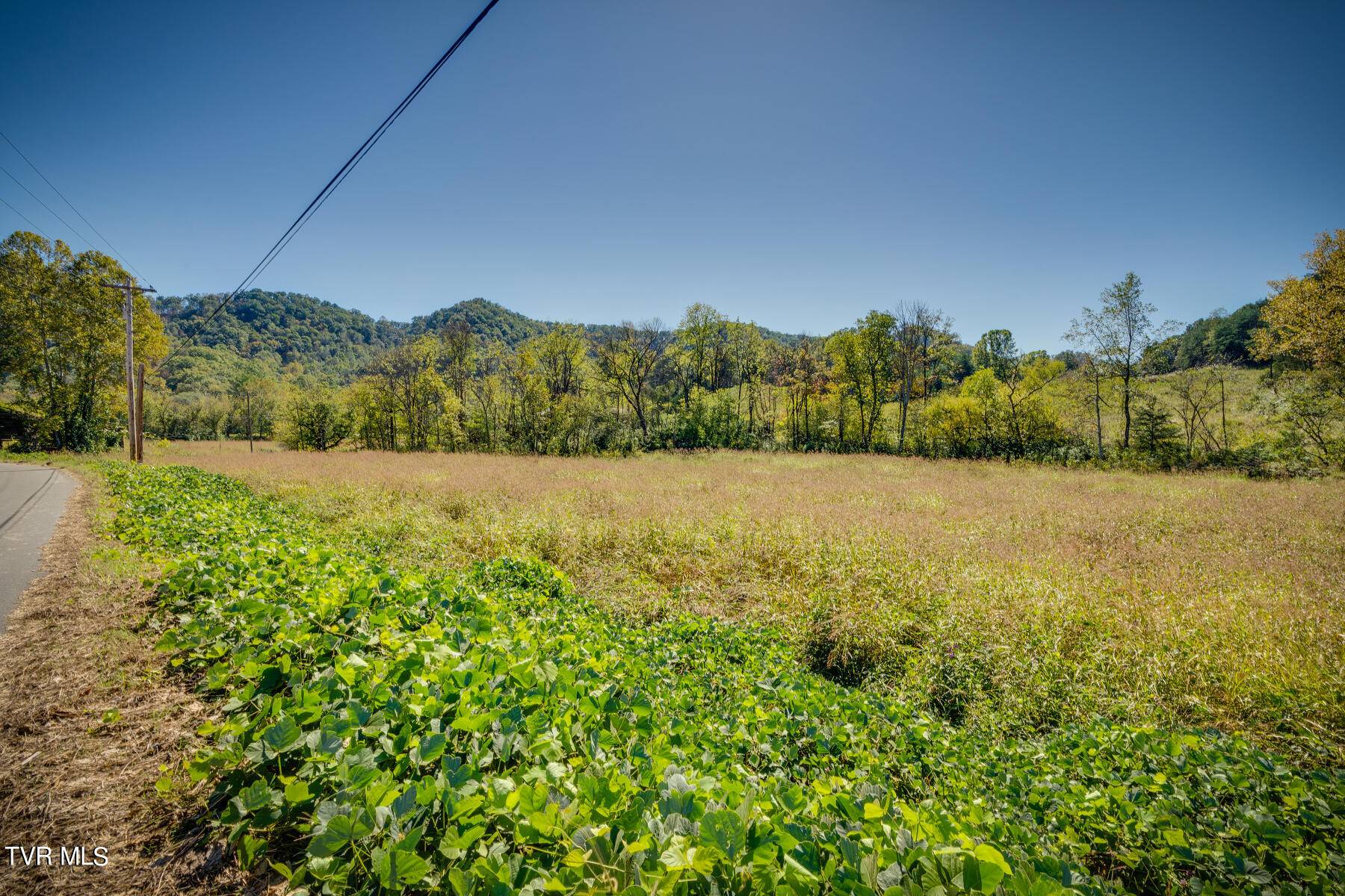 Blackwater, VA 24221,Tbd Flower Gap RD