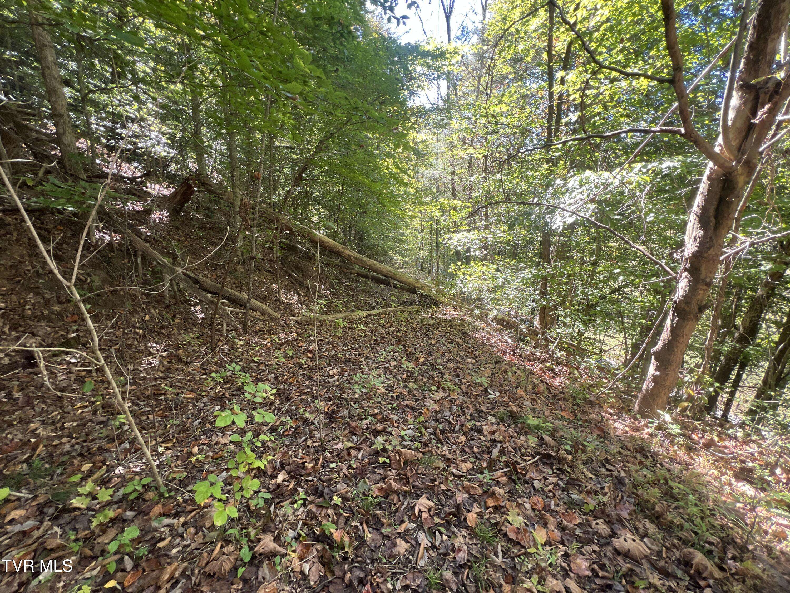 Rogersville, TN 37857,000 Tbd Fishers Creek RD