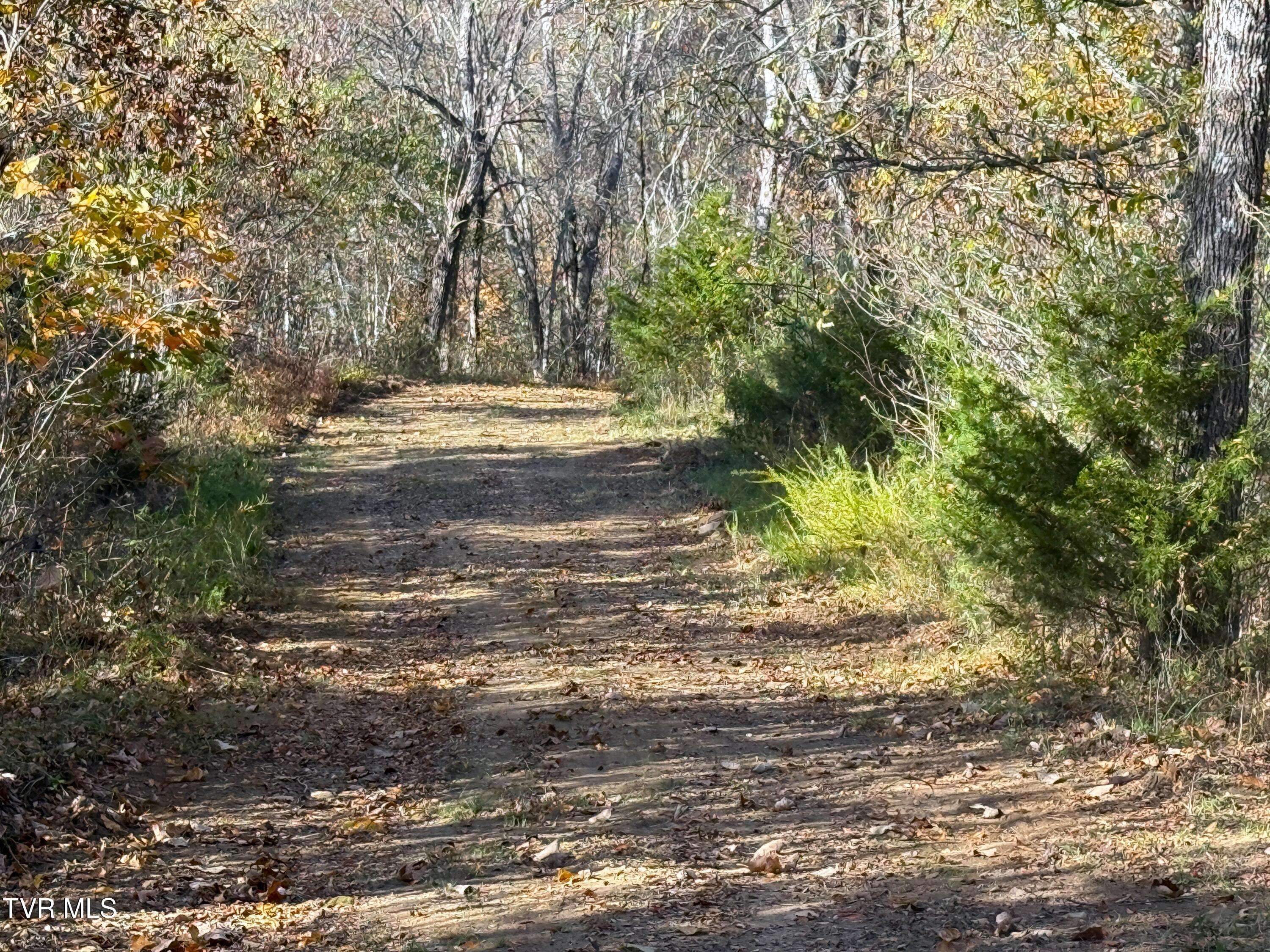 Parrottsville, TN 37843,Tract 5 Topaz WAY