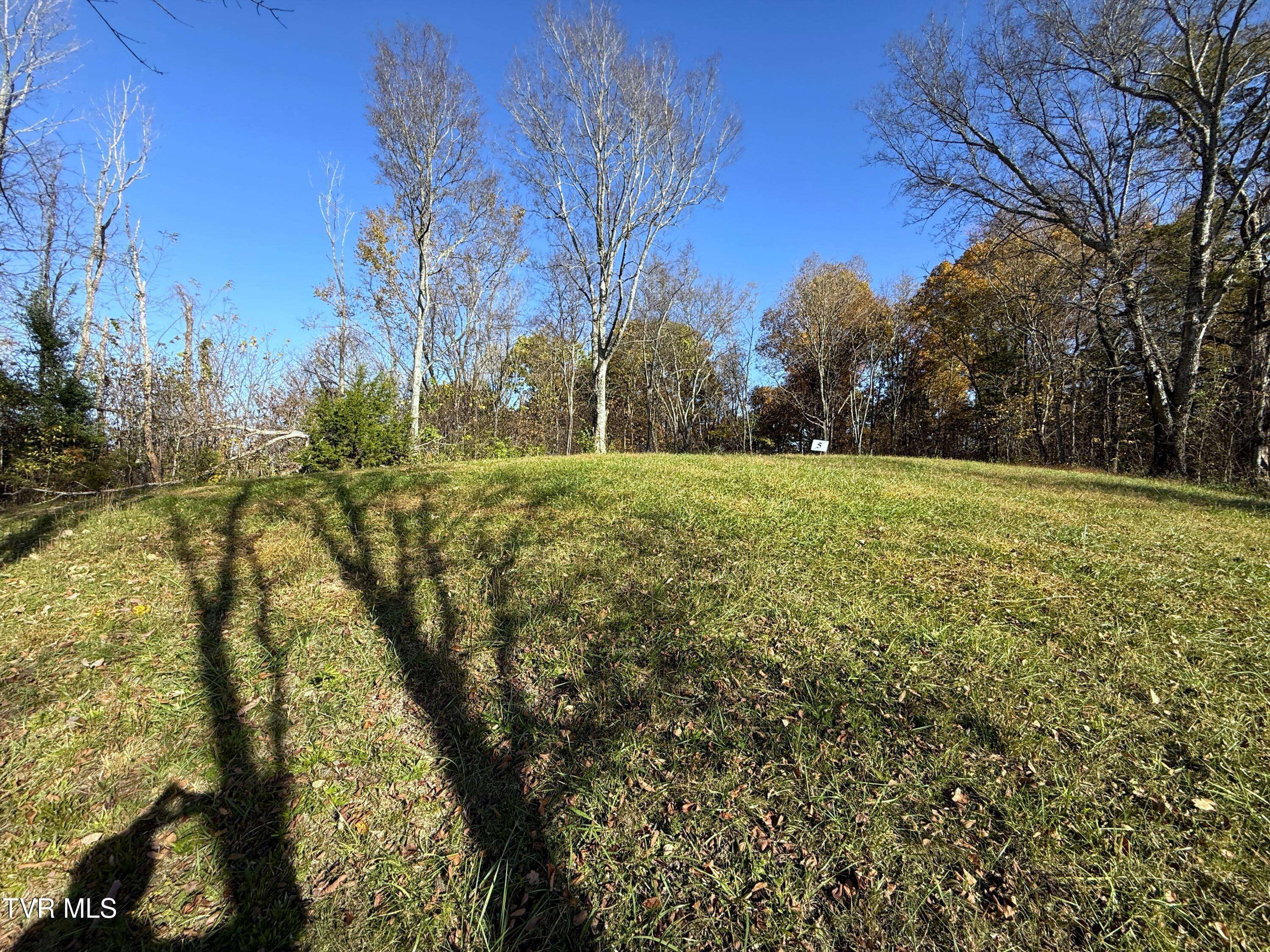 Parrottsville, TN 37843,Tract 5 Topaz WAY