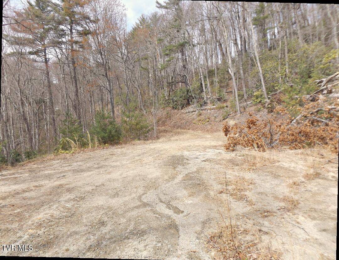Butler, TN 37640,702 Heartwood Lot 56 LN