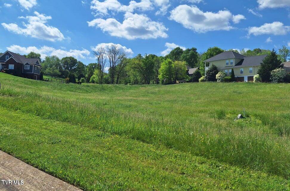 Blountville, TN 37617,101 Forest LN