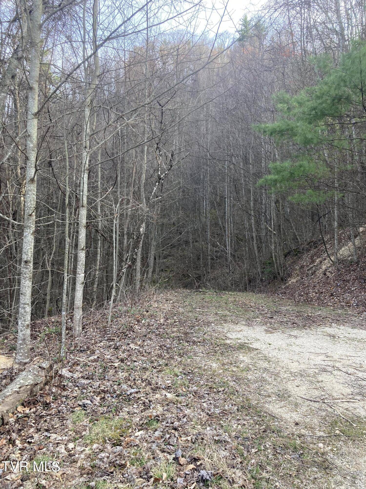 Butler, TN 37640,1008 Locust LN