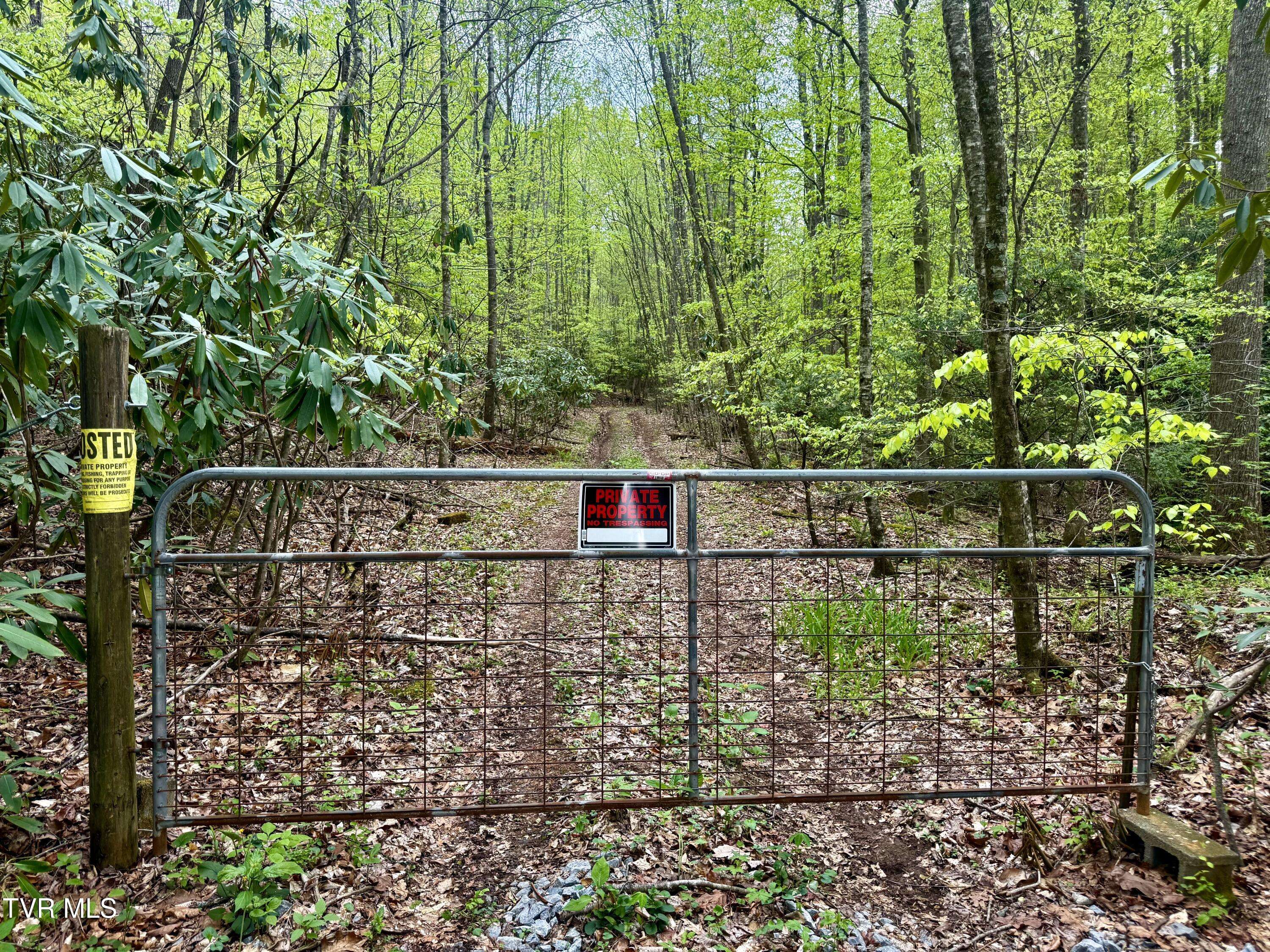Elizabethton, TN 37643,57/Ac Tbd Powder Branch RD