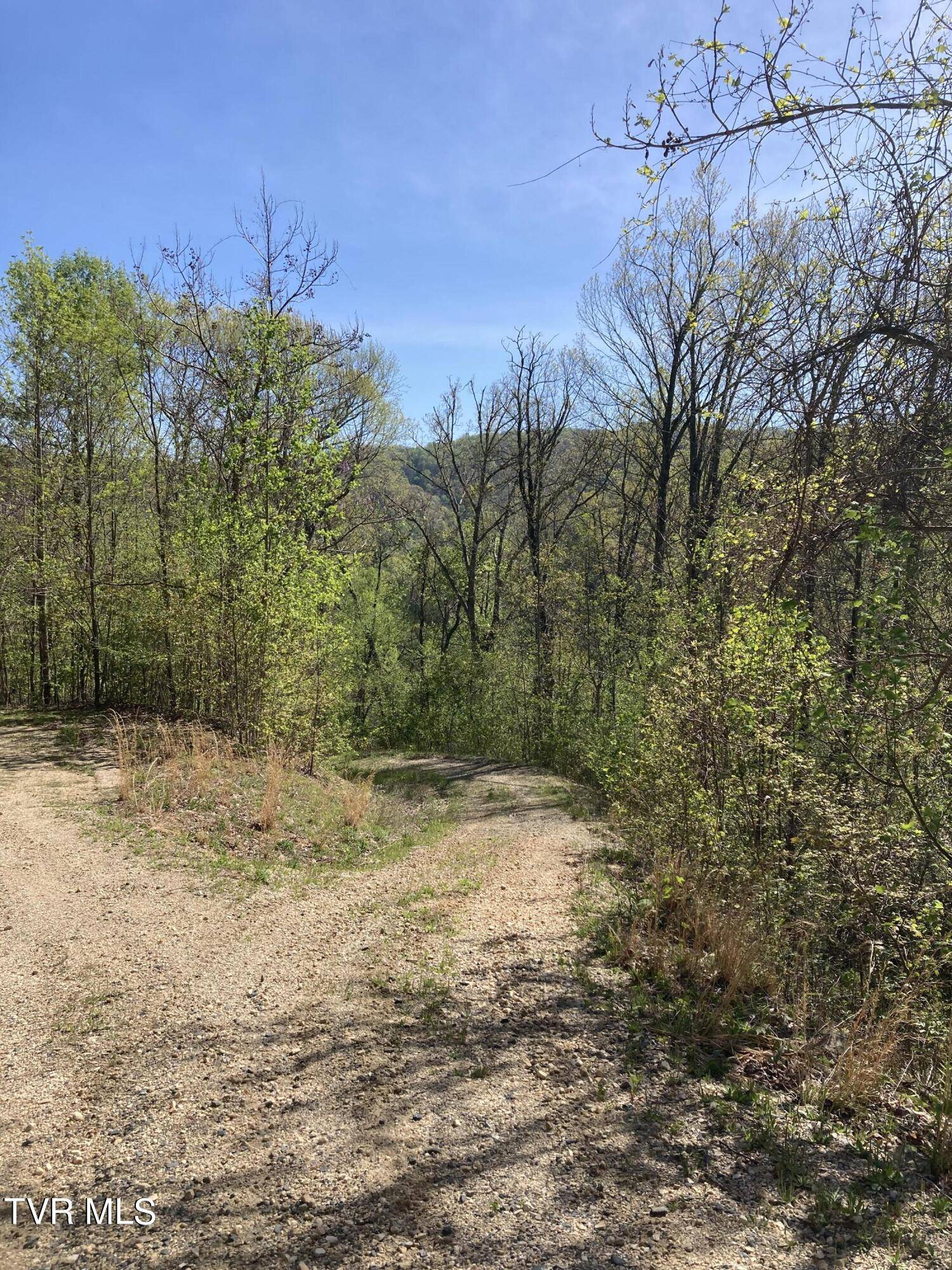 Butler, TN 37640,Tbd Tulip Poplar Trail EXT