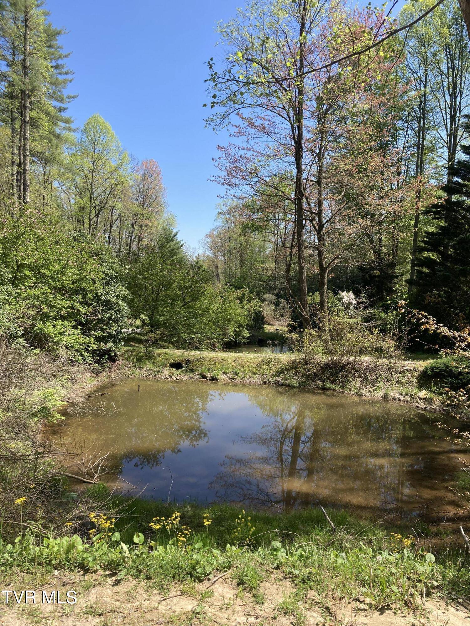 Butler, TN 37640,Tbd Tulip Poplar Trail EXT
