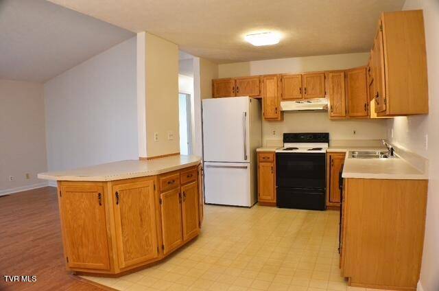 Kingsport, TN 37660,723 Teasel DR #00