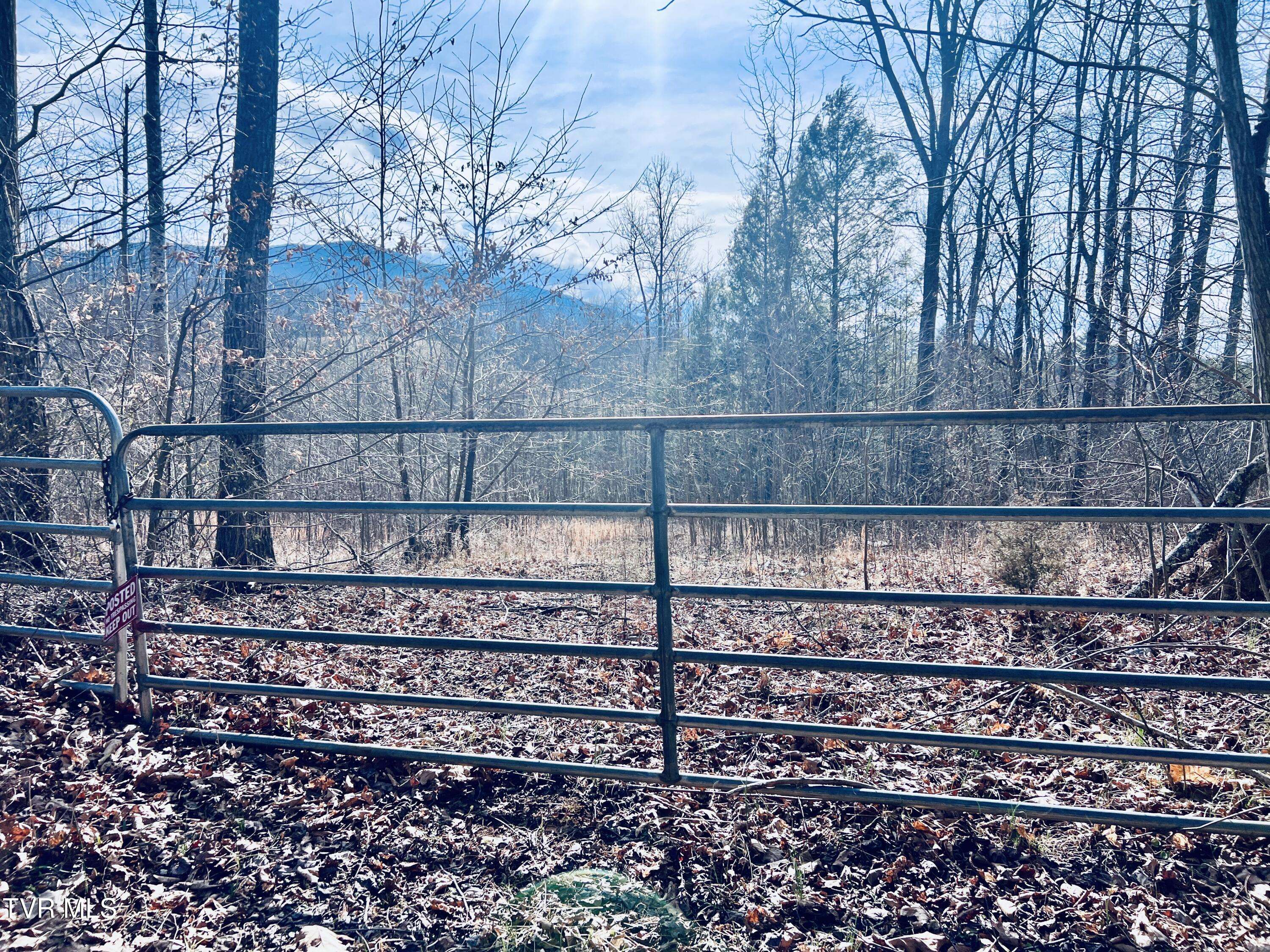 Unicoi, TN 37692,00 Mccurry RD