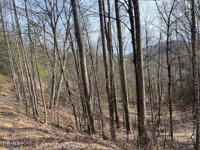 Mountain City, TN 37683,Tbd Callalantee DR