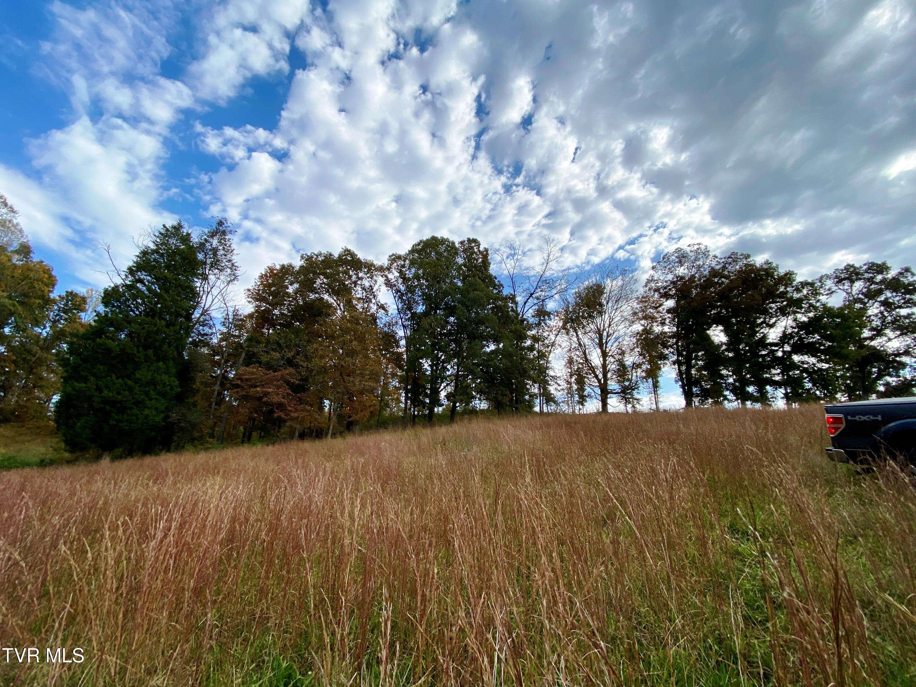 Surgoinsville, TN 37873,Tbd Hwy 11w