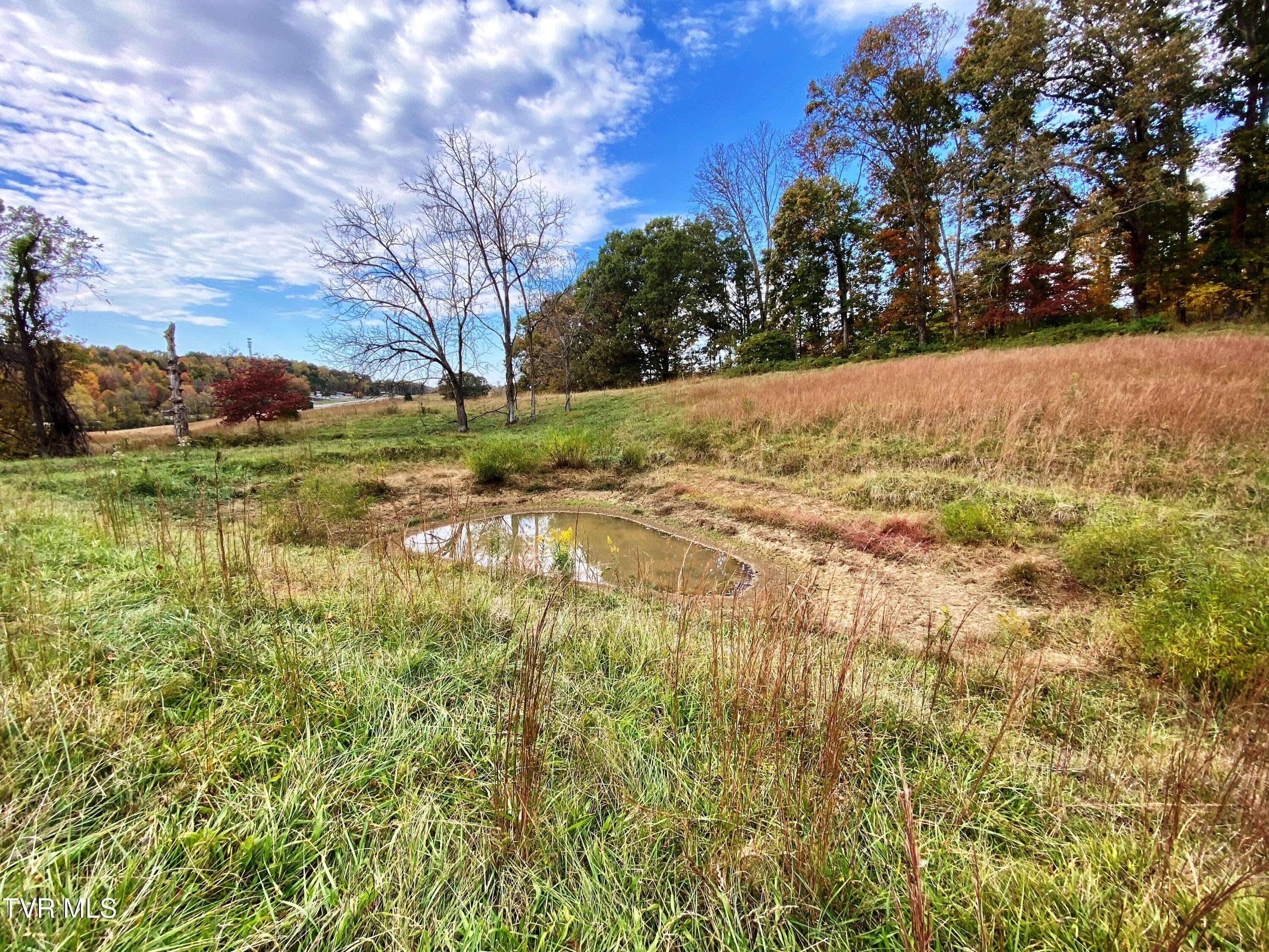 Surgoinsville, TN 37873,Tbd Hwy 11w