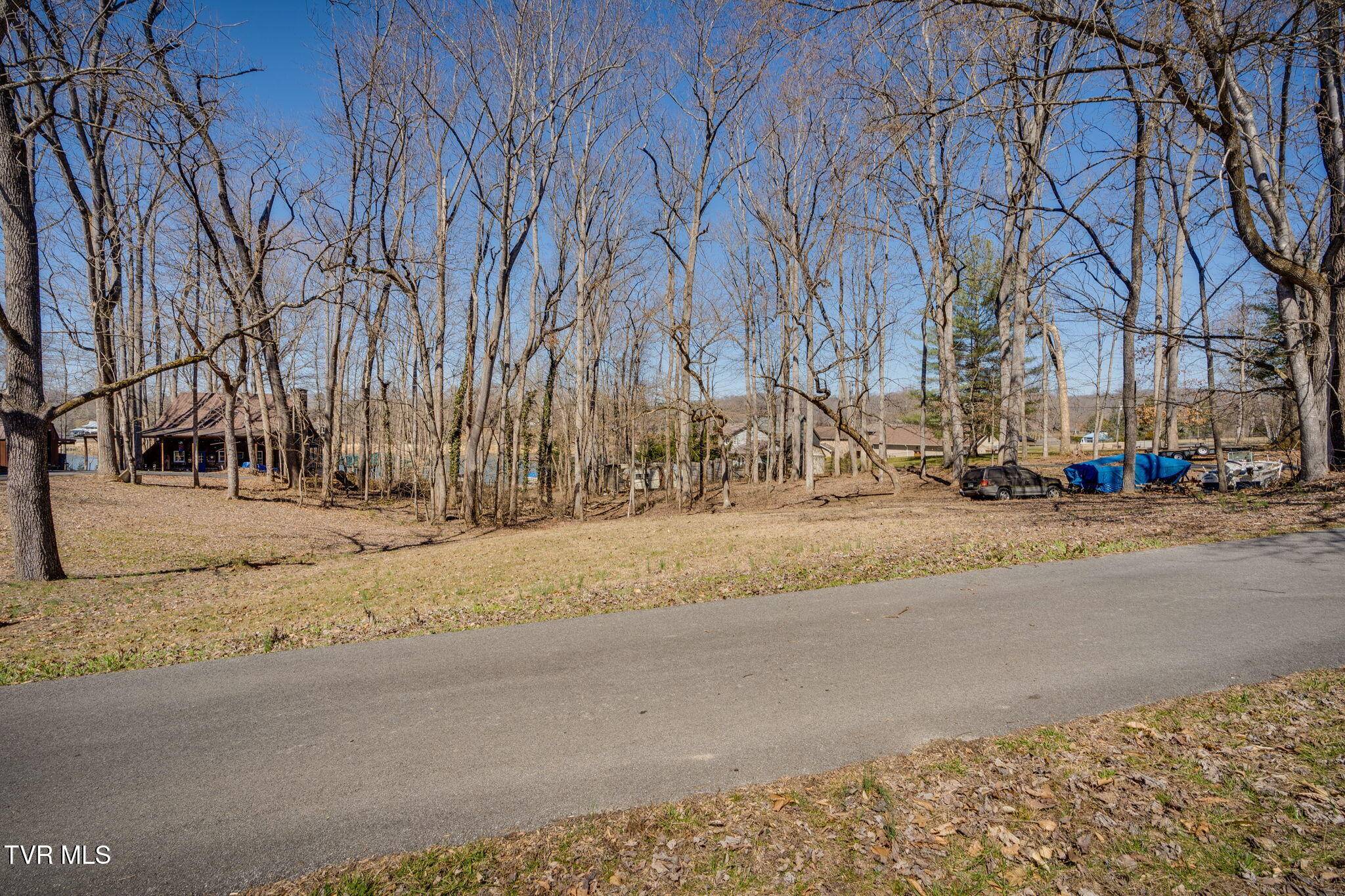 Piney Flats, TN 37686,Tbd Boonewood Pvt DR