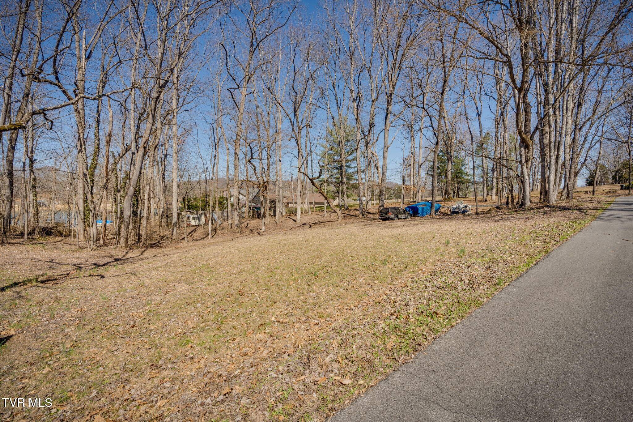 Piney Flats, TN 37686,Tbd Boonewood Pvt DR