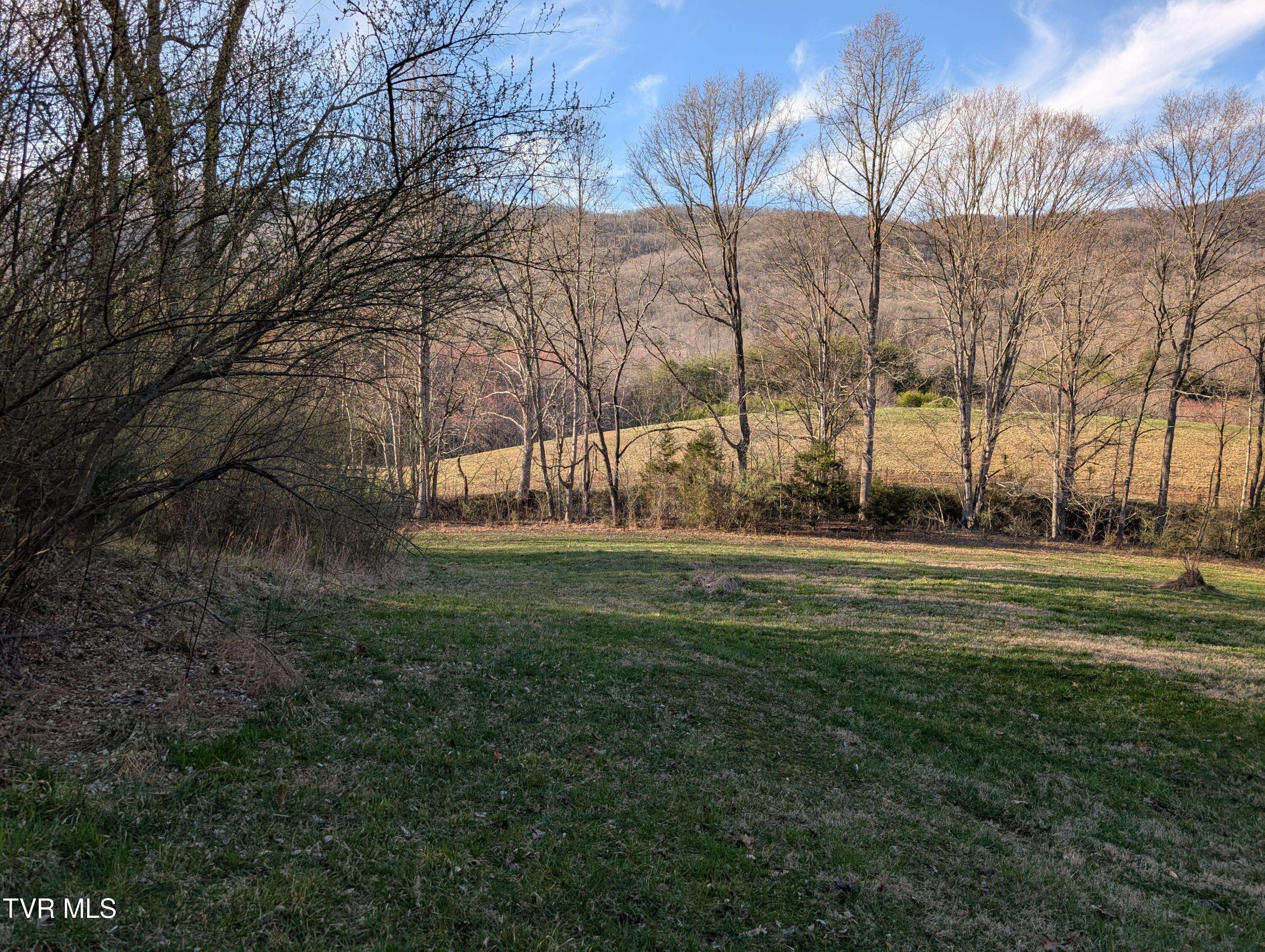 Gate City, VA 24251,Tbd A P Carter HWY