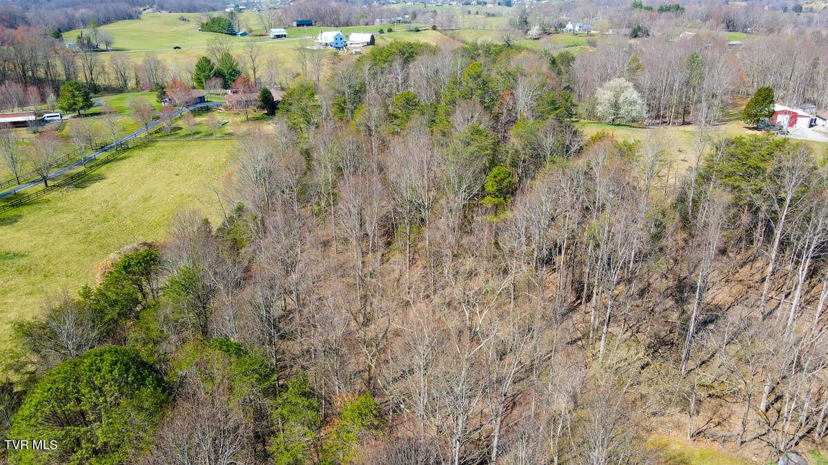Jonesborough, TN 37659,Tbd Summit DR