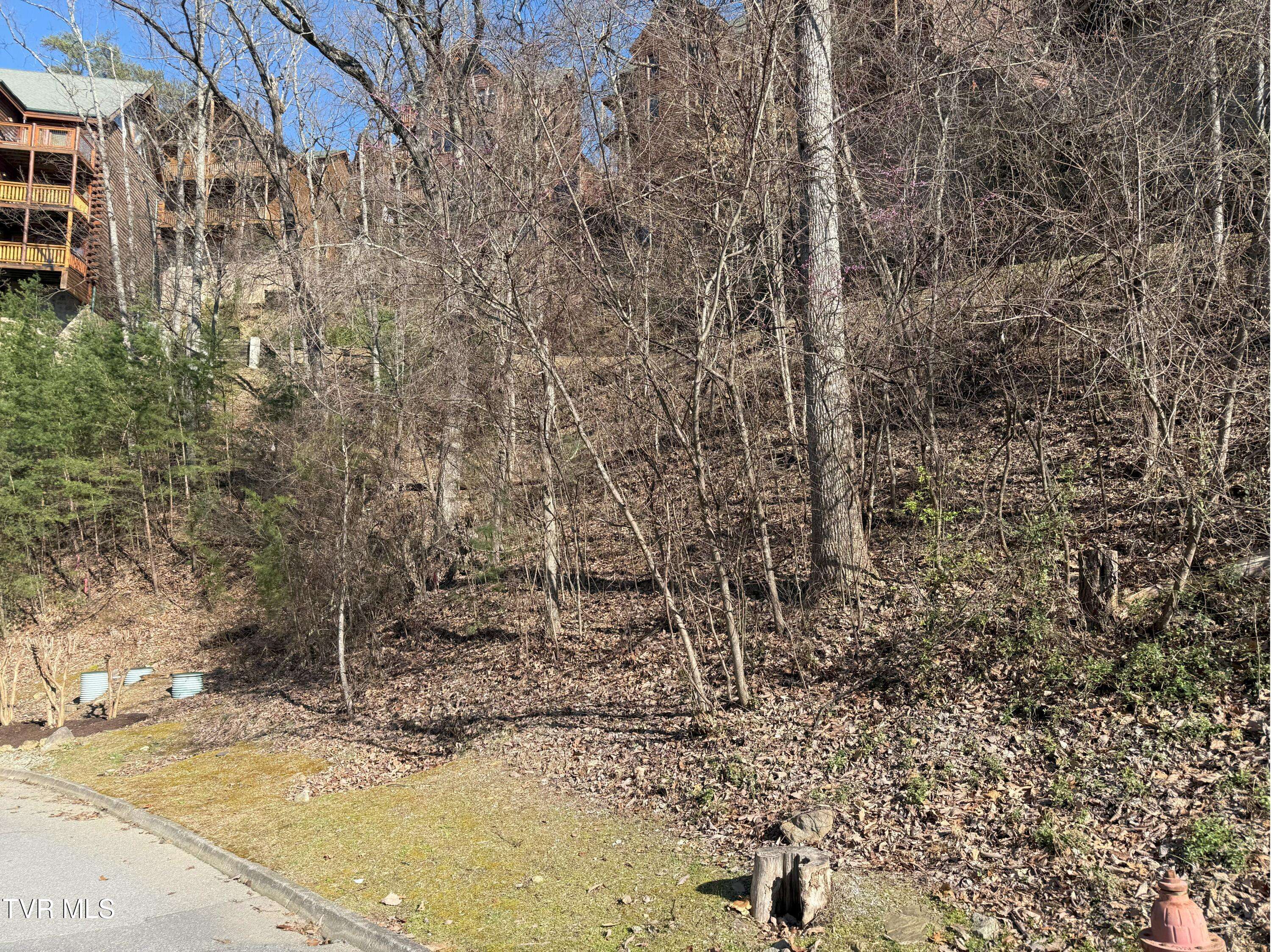 Pigeon Forge, TN 37863,Lot 155r Black Bear Cub WAY