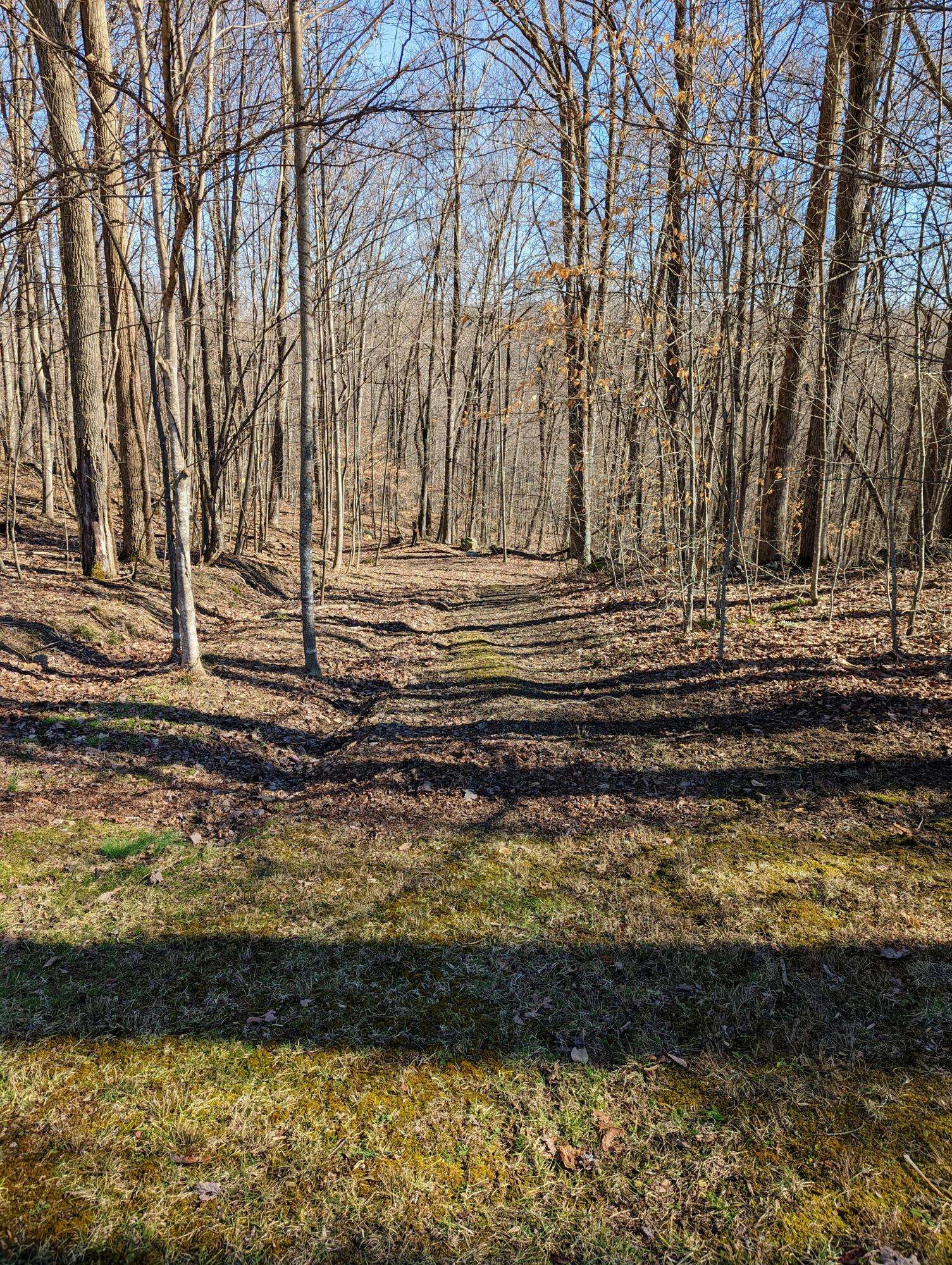 Clintwood, VA 24228,Tbd Crack Rock RD