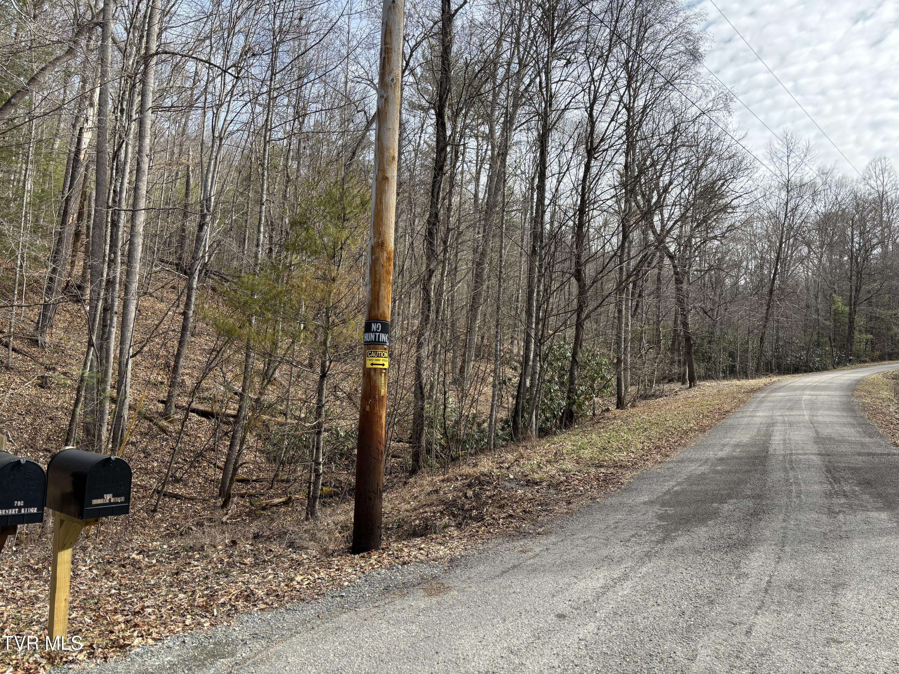 Butler, TN 37640,36b Of Roan Creek RD