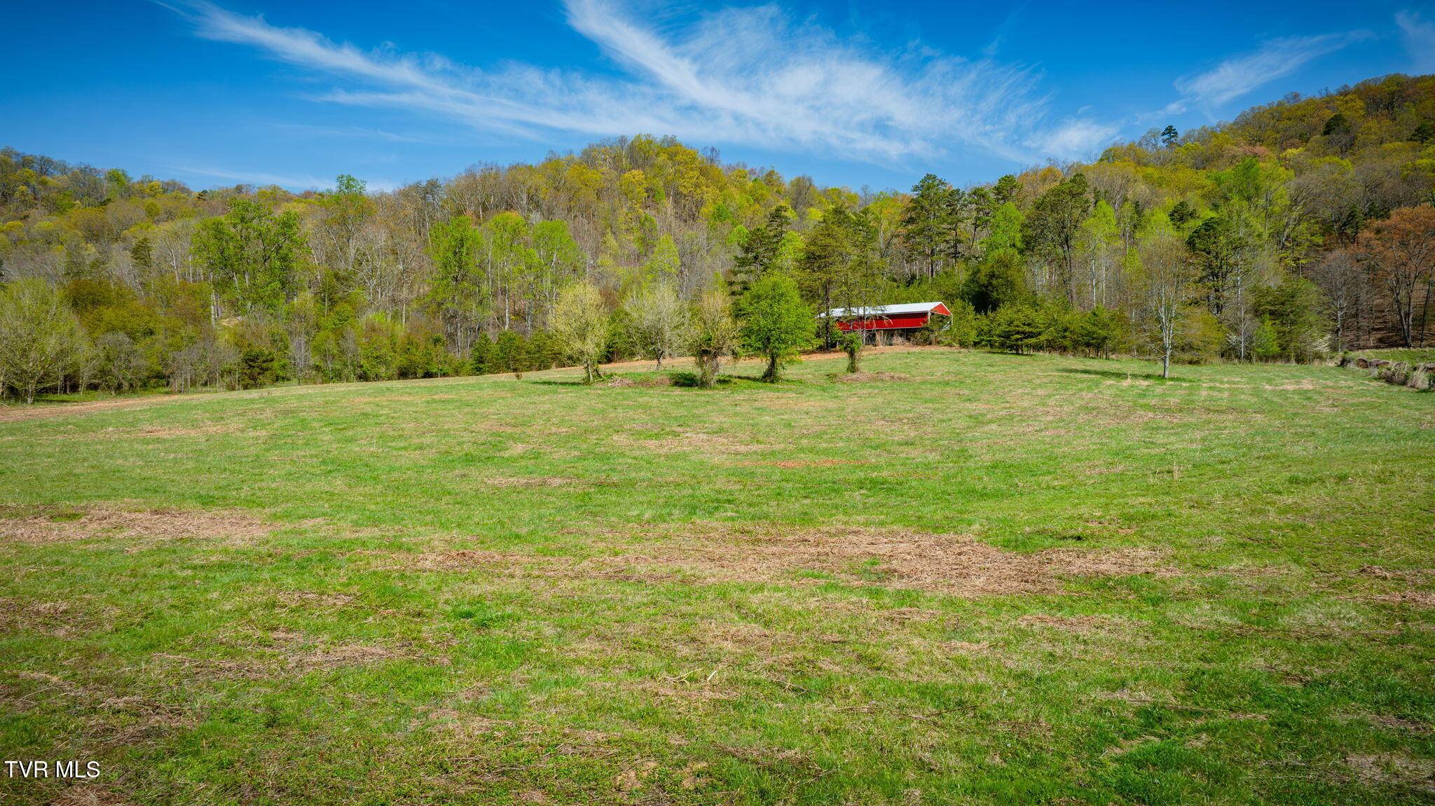 Surgoinsville, TN 37873,Tbd Stanley Valley RD