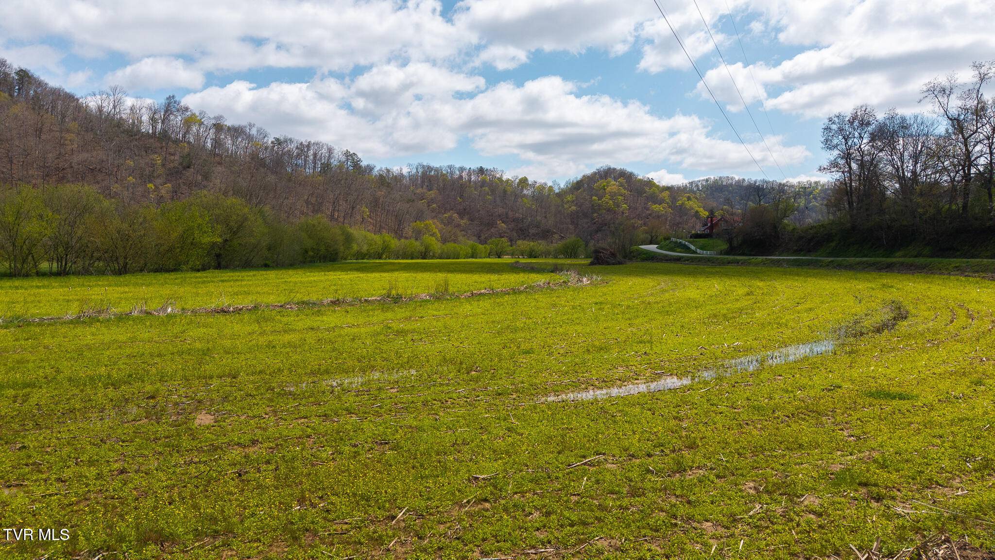 Kyles Ford, TN 37765,1025 Livesay Chapel RD