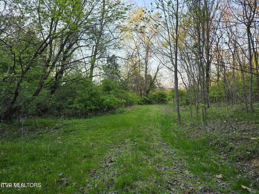 Morristown, TN 37814,Tbd Boatmans Mountain Lot 2 RD