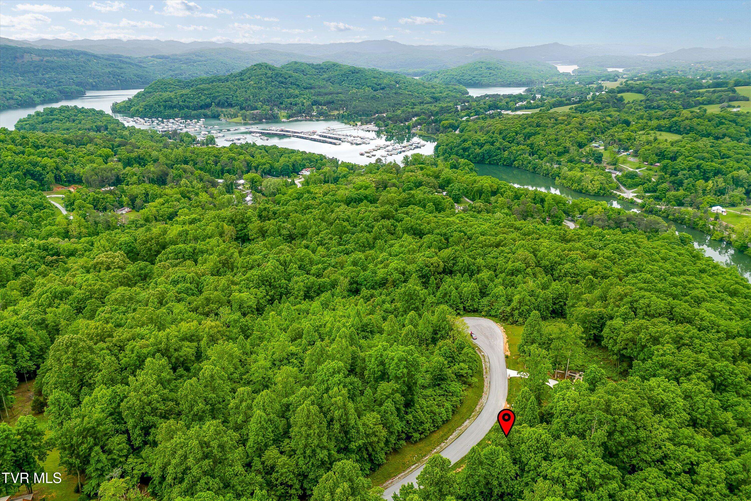 New Tazewell, TN 37825,Lot 240 Tanzanite TRL