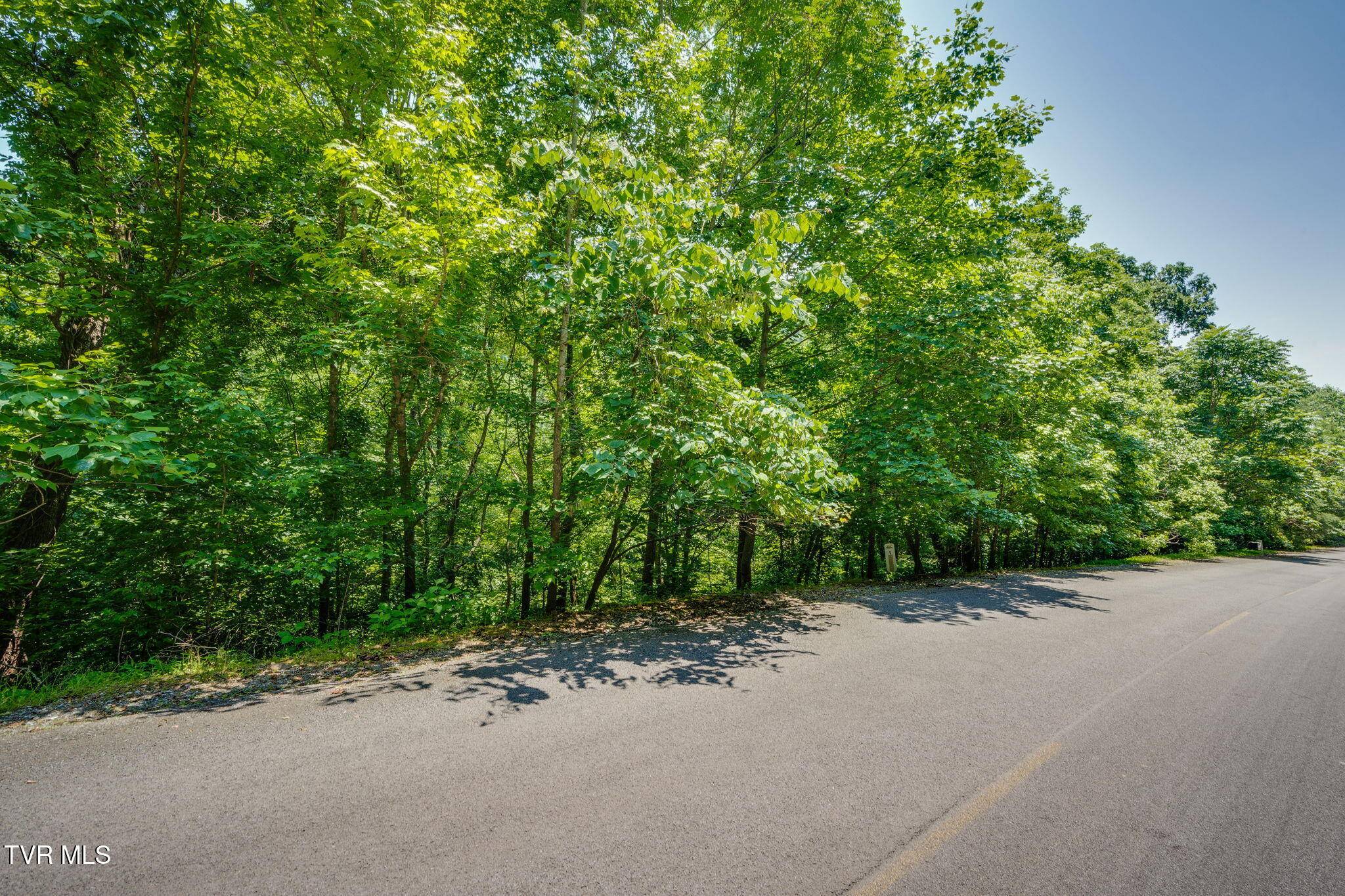 Whitesburg, TN 37891,Lot 4 Walnut Bend DR