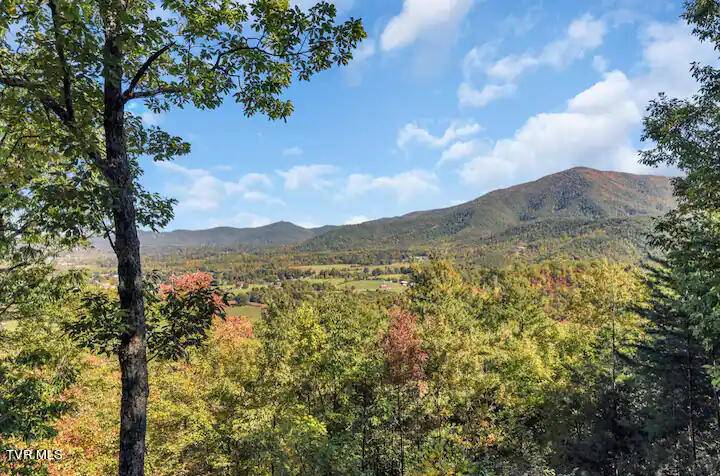 Sevierville, TN 37862,3831 Glenview WAY