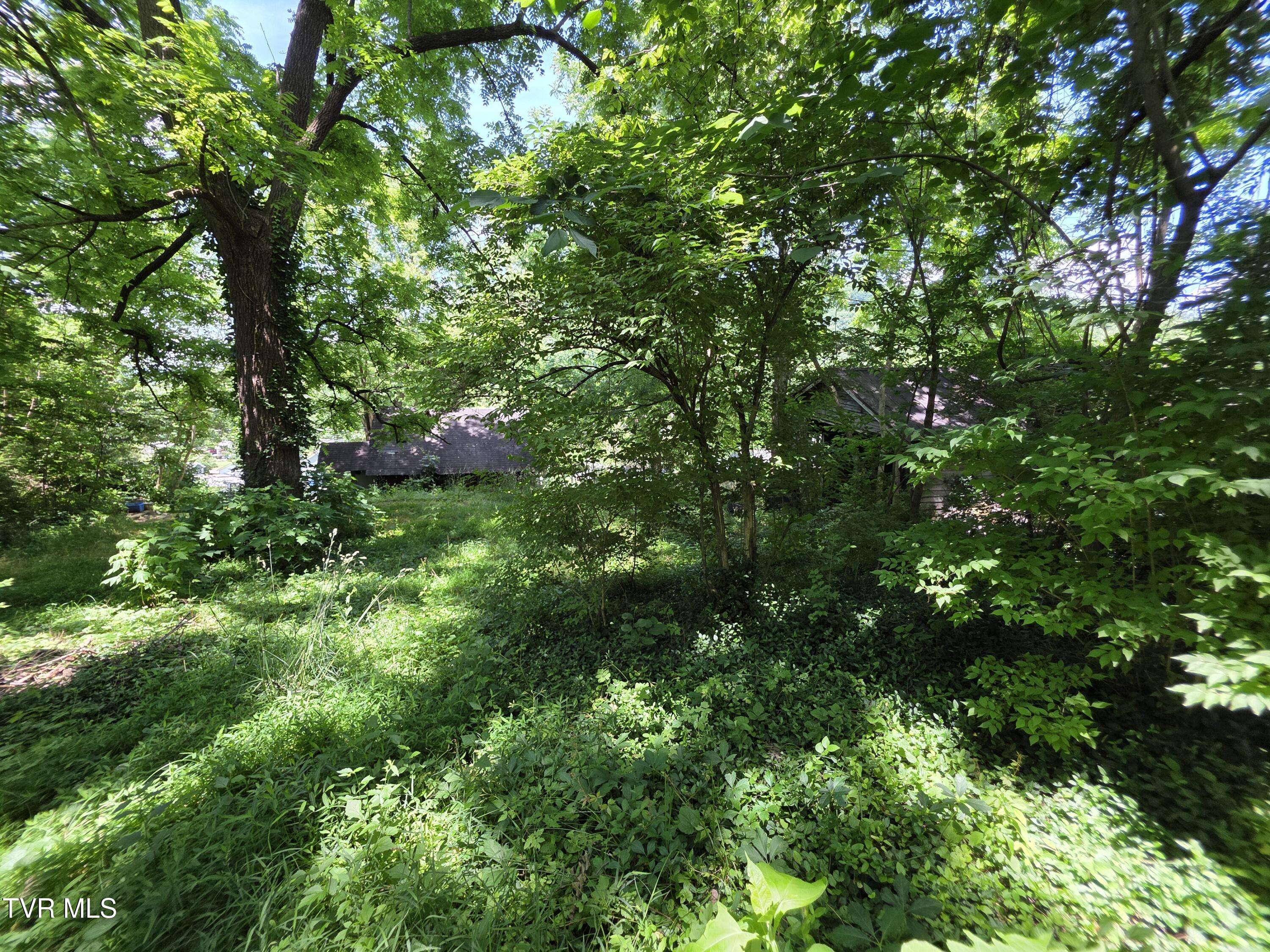 Elizabethton, TN 37643,1033 Berry RD