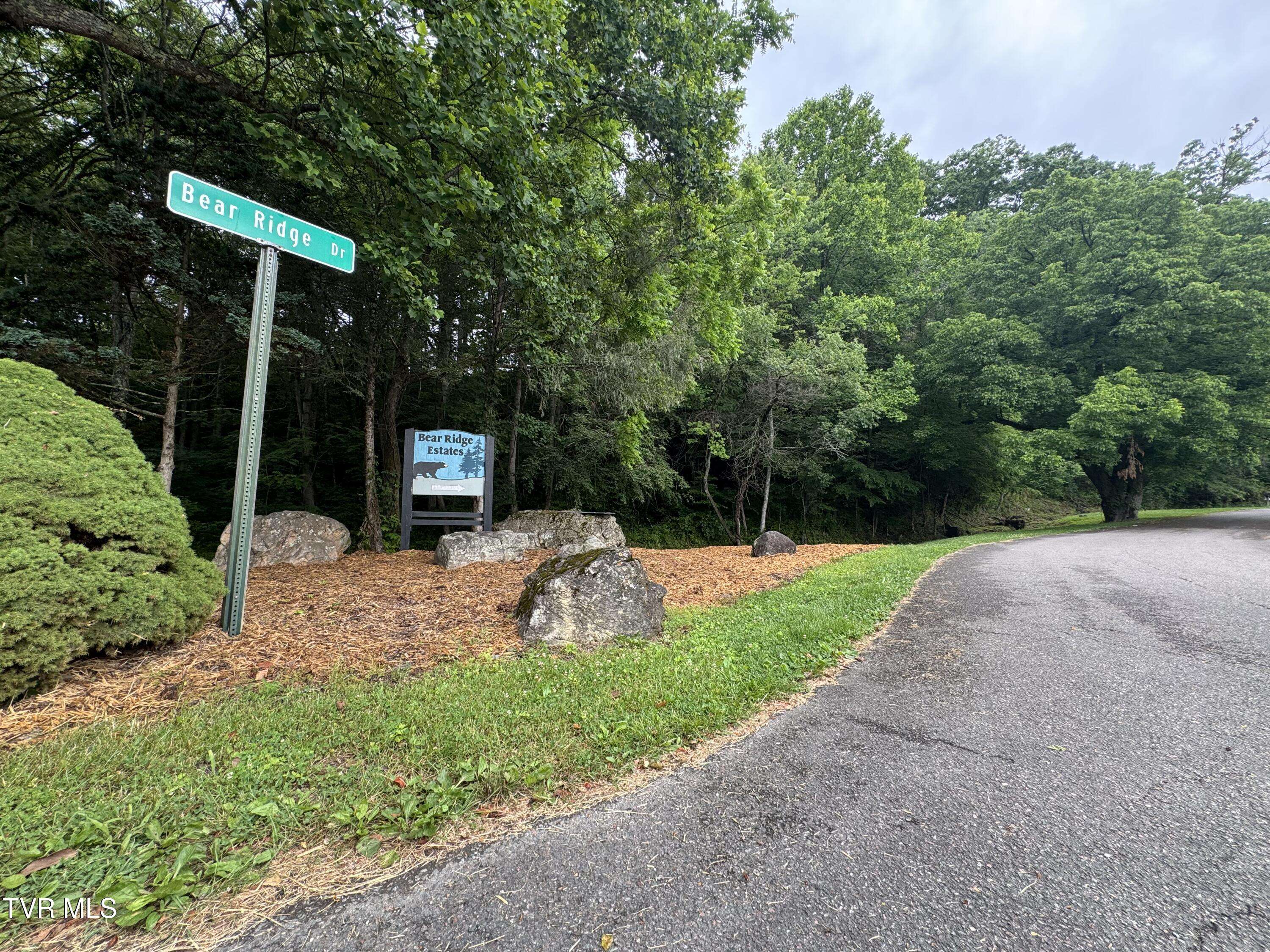 Butler, TN 37640,110 Forest DR