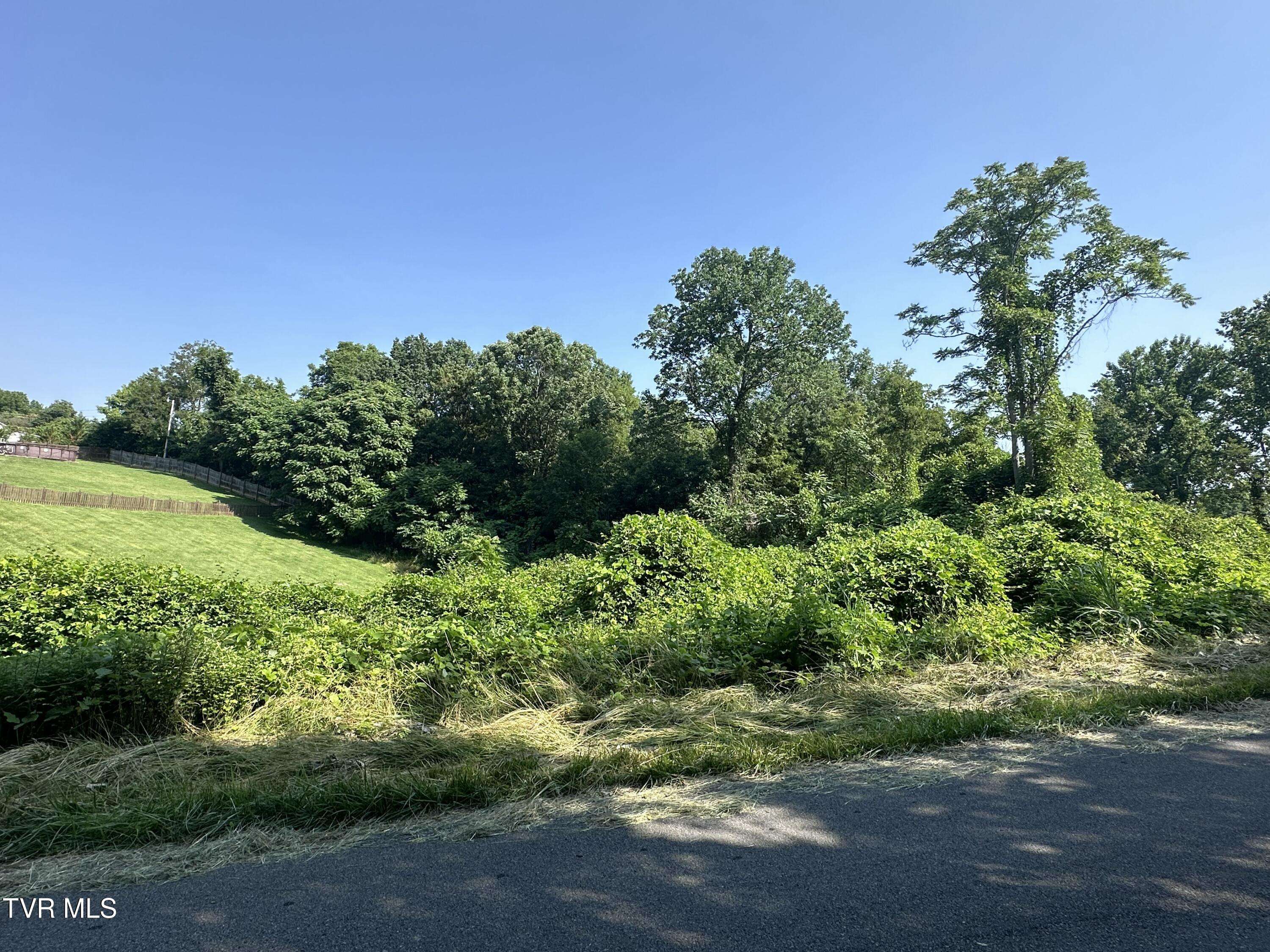 Johnson City, TN 37604,0 Lynn LN