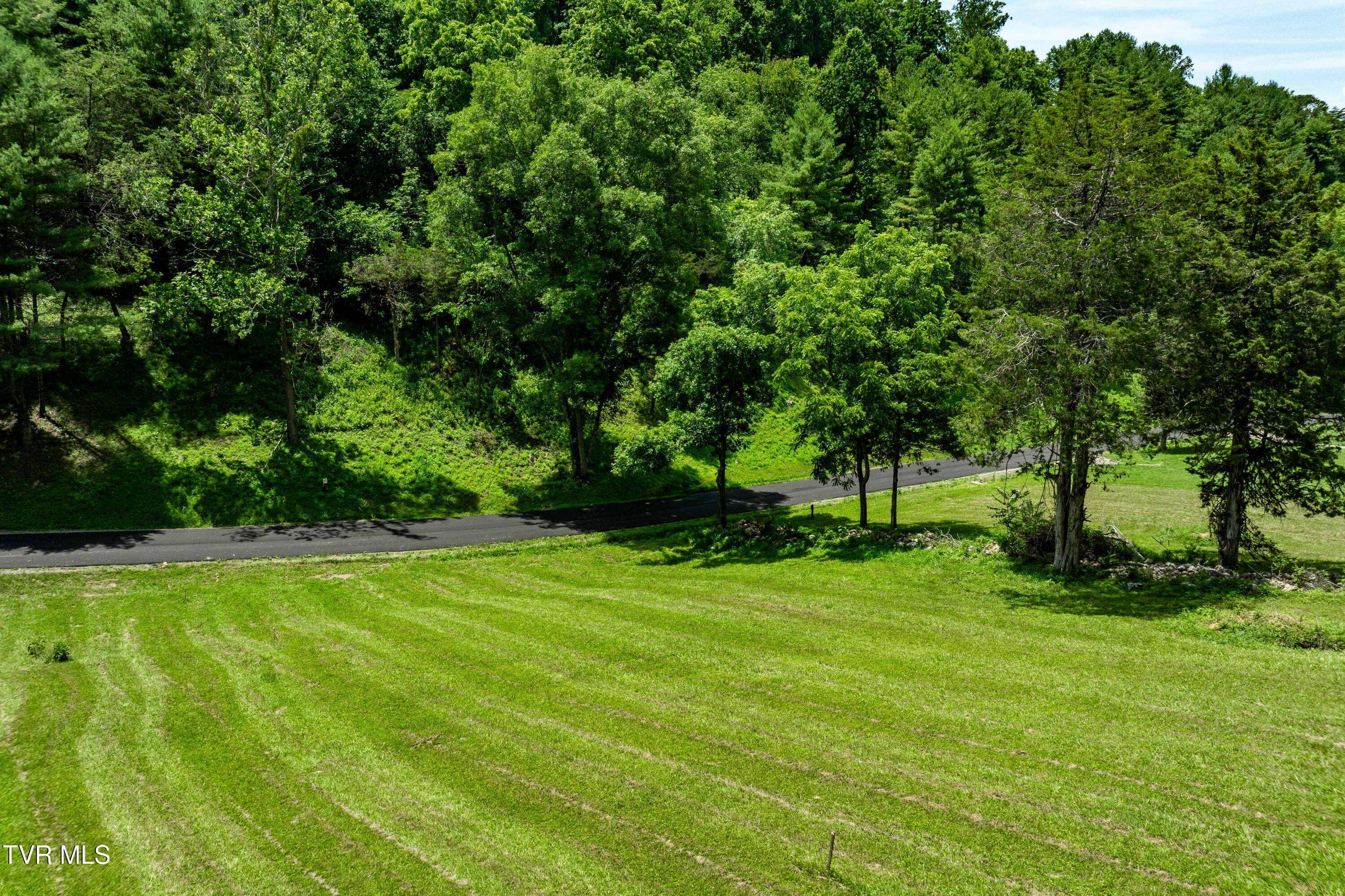 Butler, TN 37640,Lot #18 Vineyard Valley DR